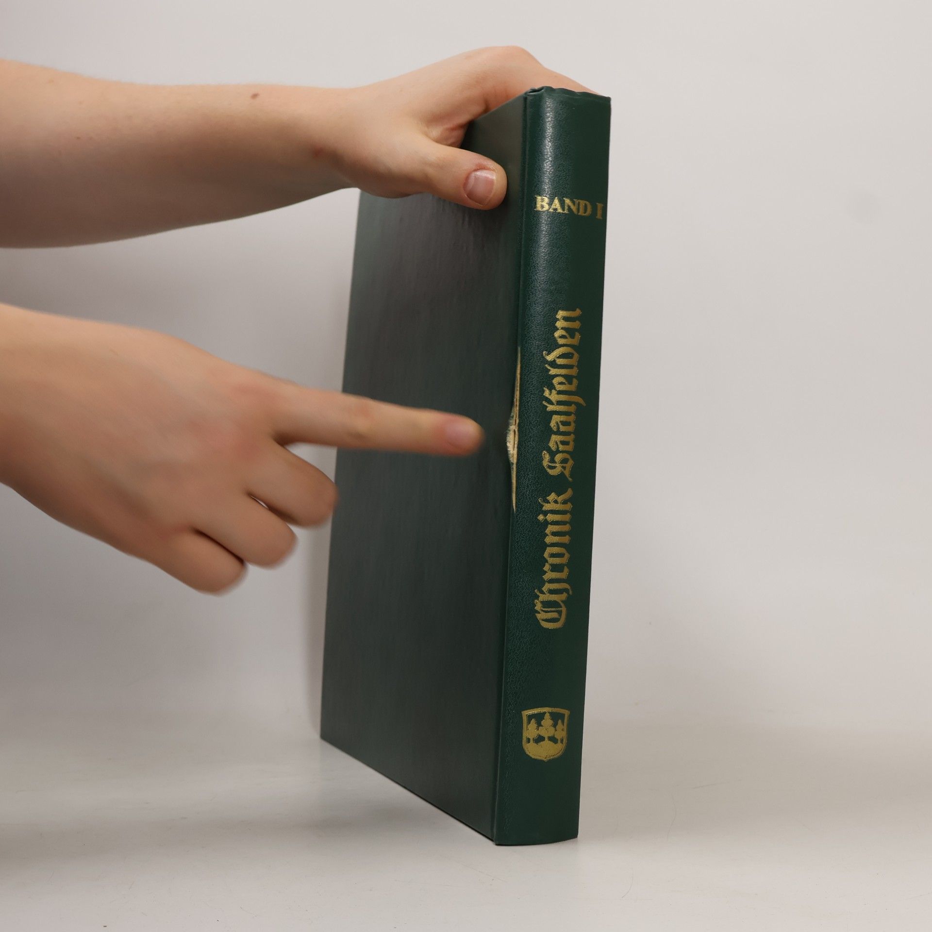 kolektiv Chronik Saalfelden 1