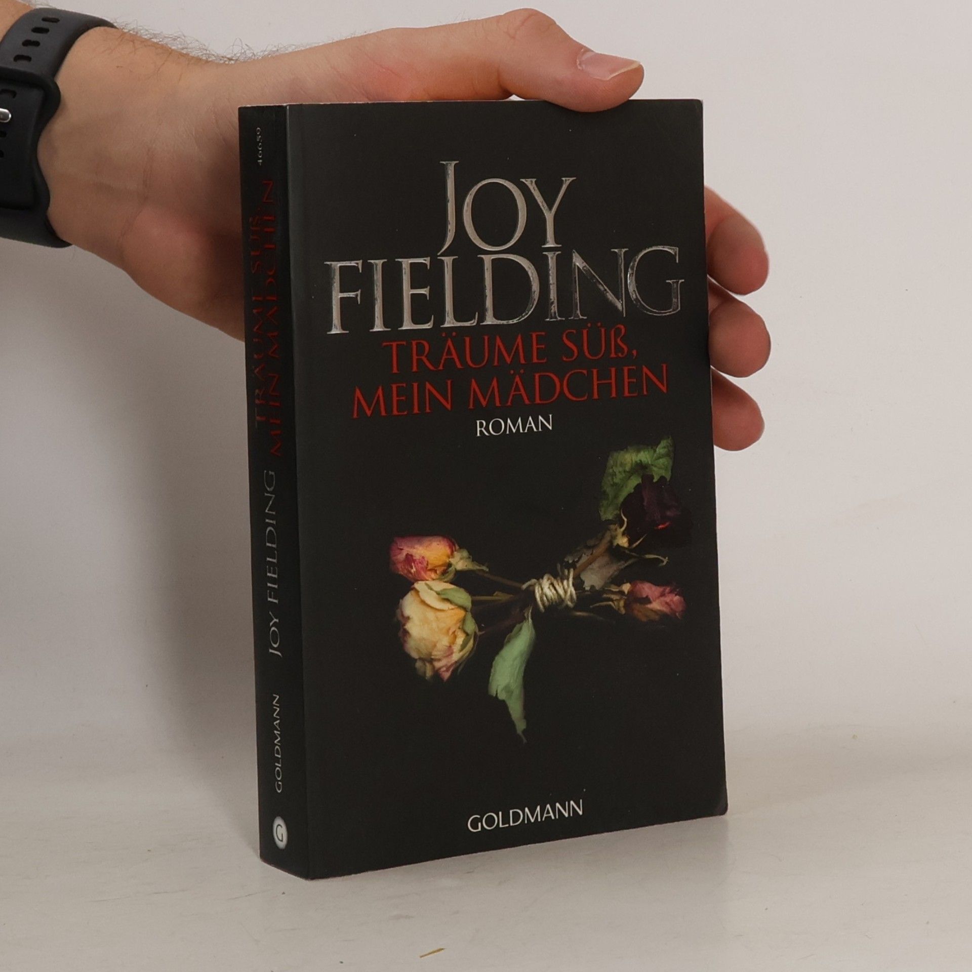 Joy Fielding Träume süss, mein Mädchen
