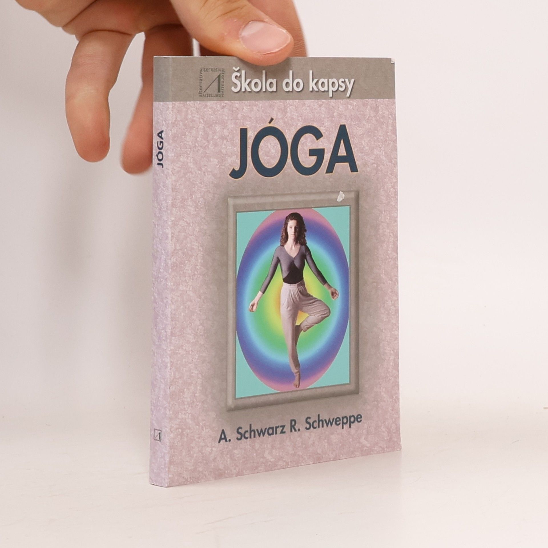 Aljoscha Long Jóga – Škola do kapsy