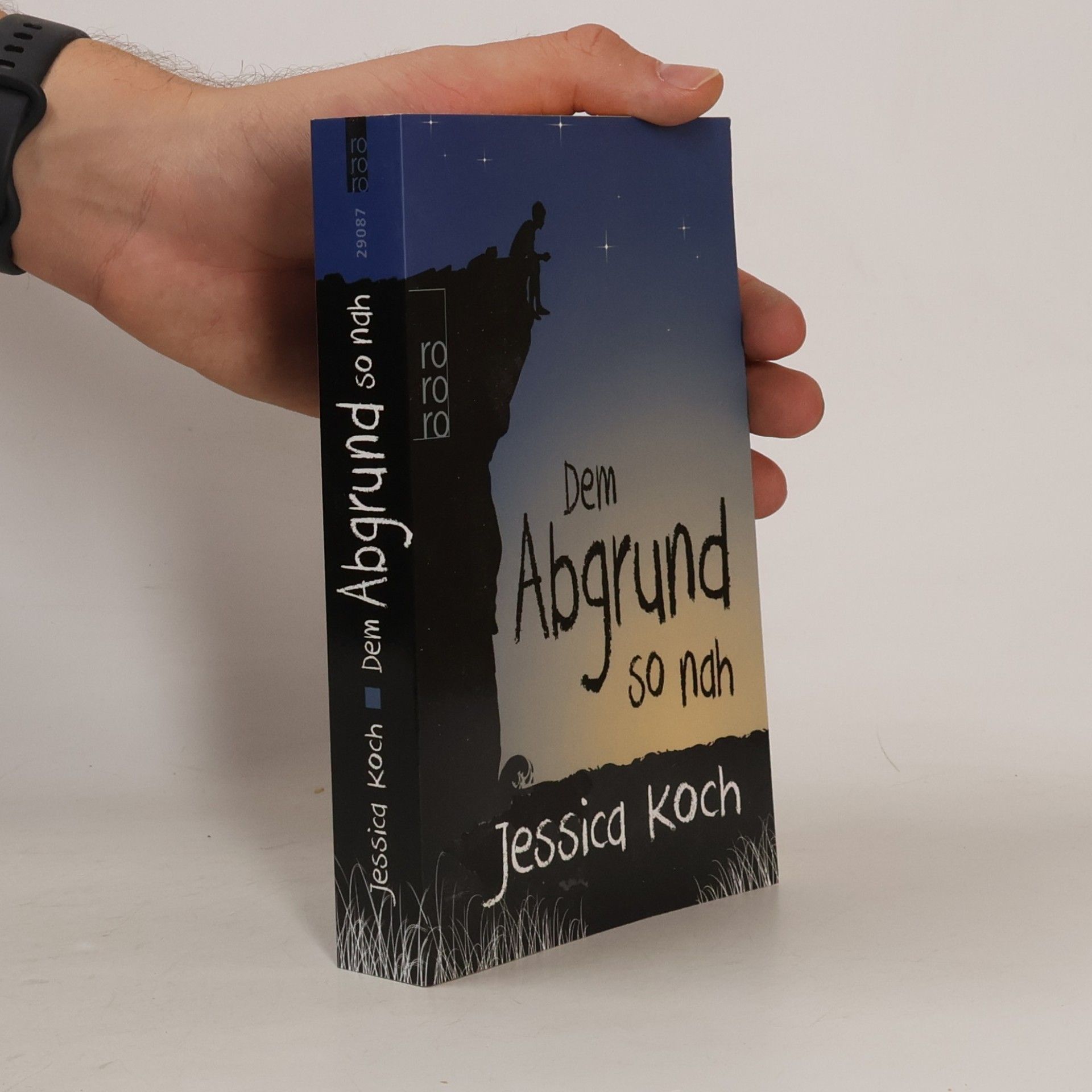 Jessica Koch Dem Abgrund so nah
