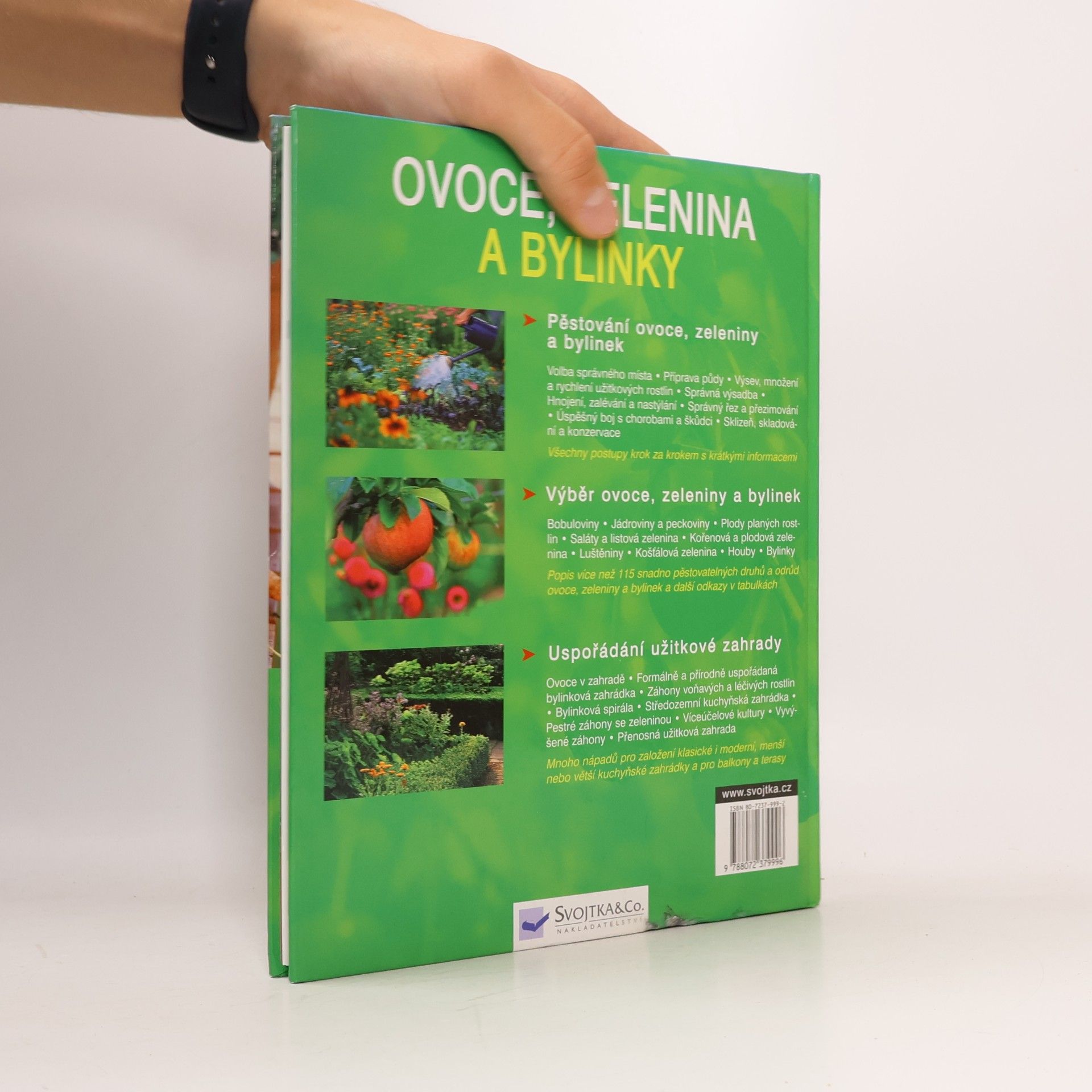 Renate Hudak Ovoce, zelenina a bylinky: Správná výsadba a péče krok za krokem, nejlahodnější druhy pro plný požitek, krásná řešení pro zahradu a balkon