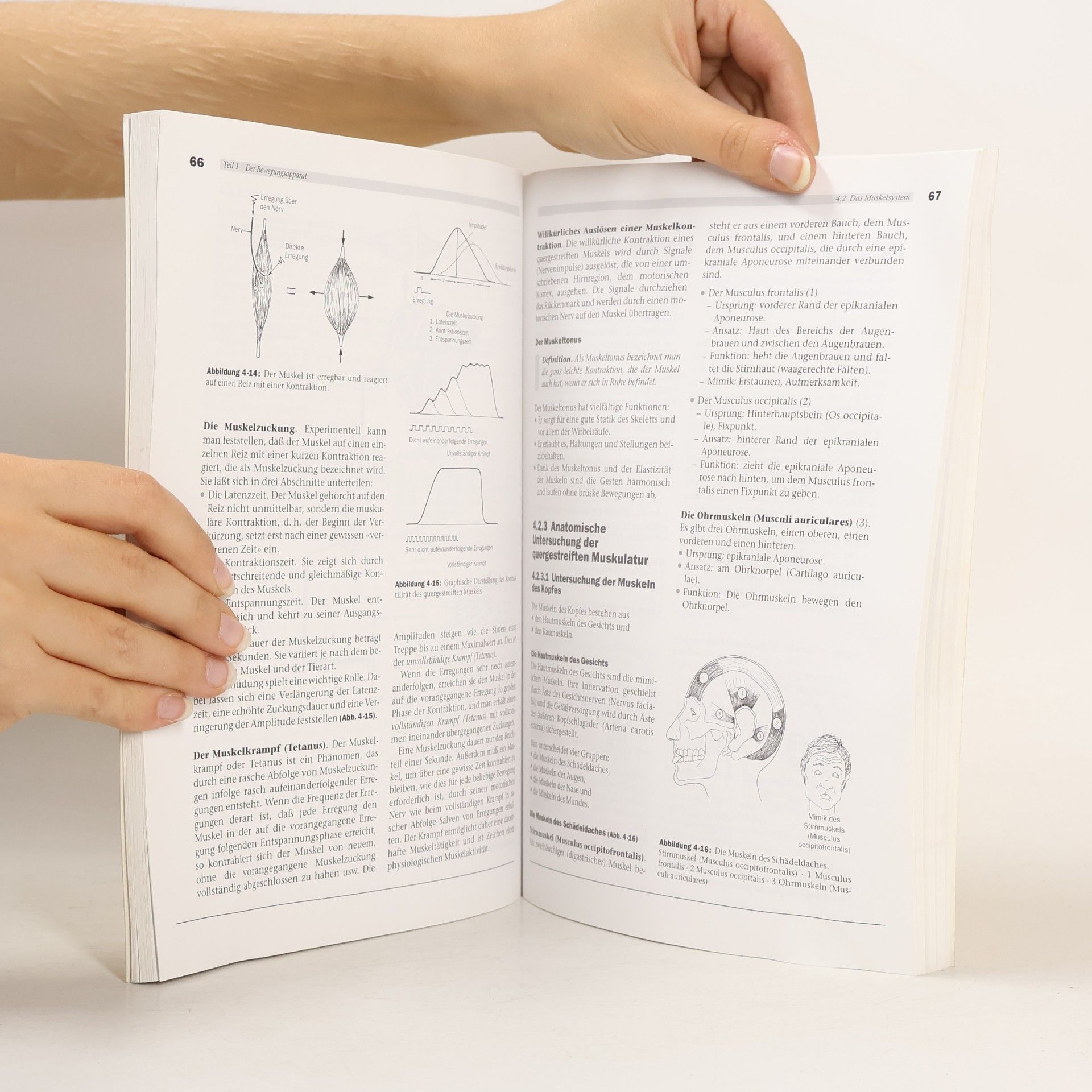 Gérard Peyrefitte Lehrbuch Anatomie und Physiologie für Kosmetikerinnen