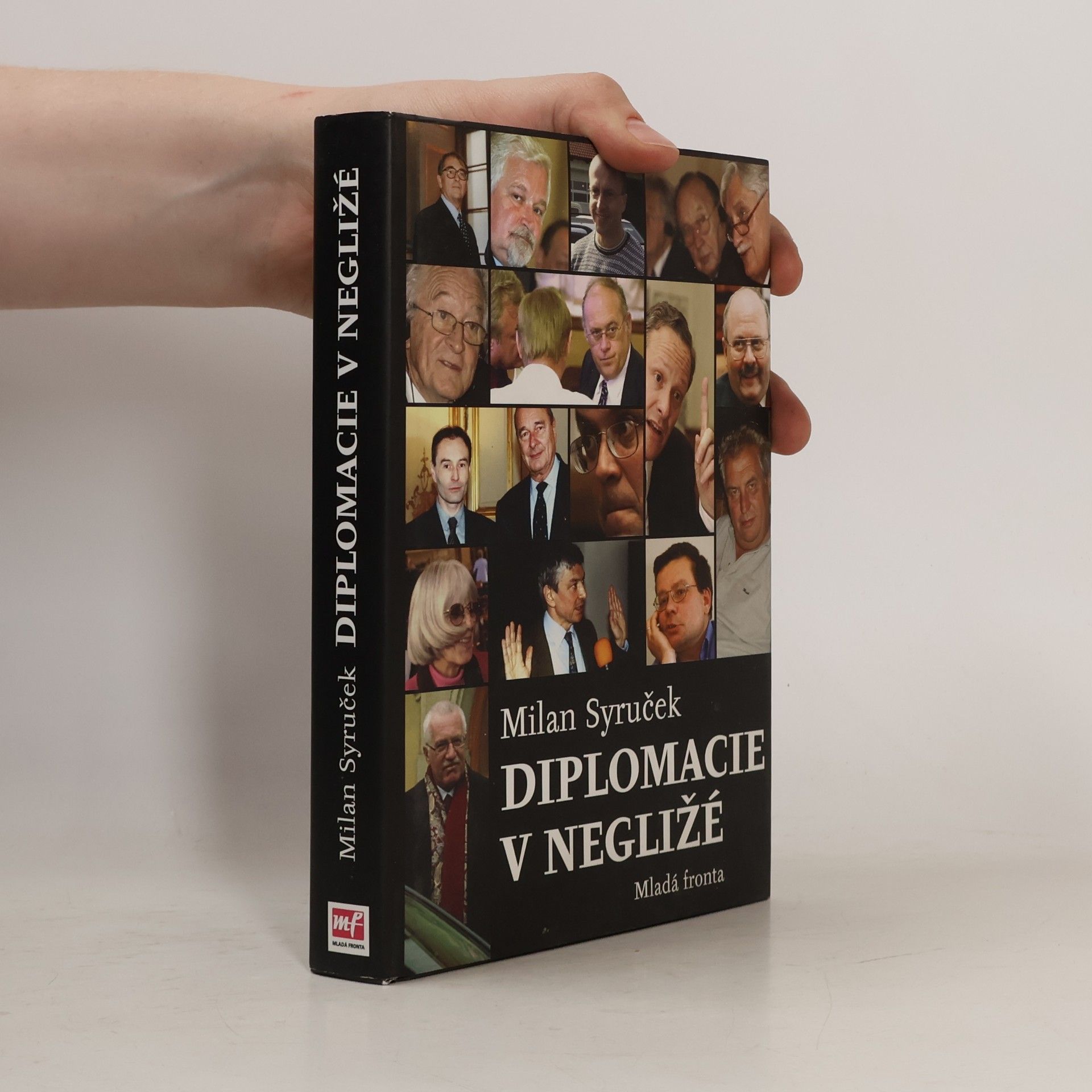 Diplomacie v negližé. Patnáct let naší zahraniční politiky