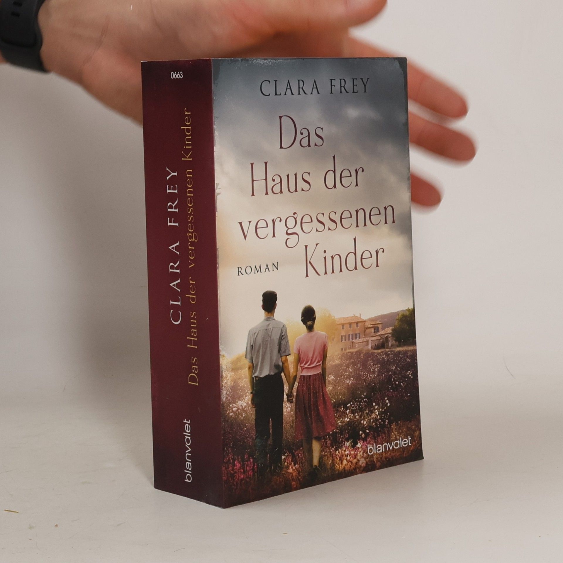 Clara Frey Das Haus der vergessenen Kinder