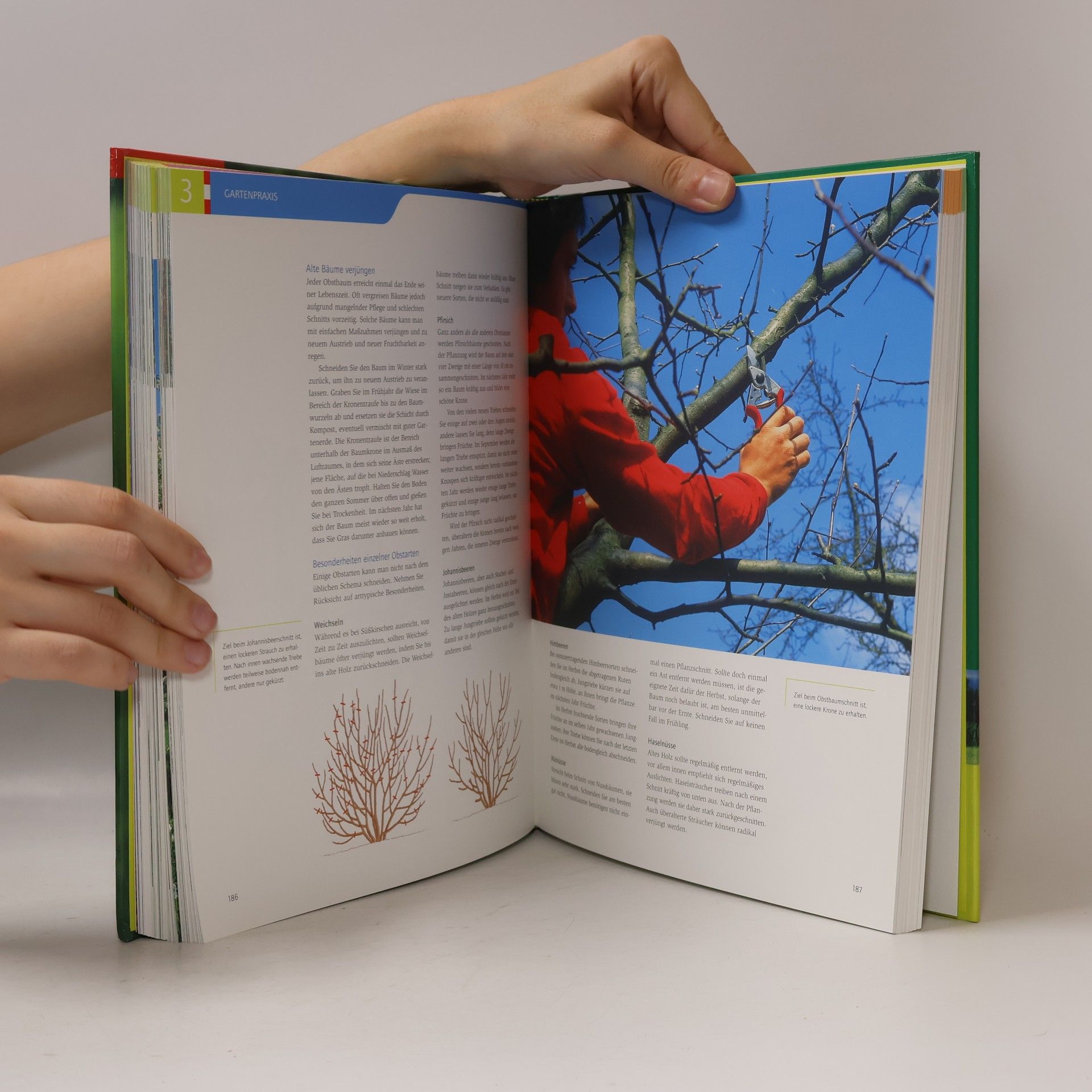 Elke Papouschek Das große österreichische Gartenbuch