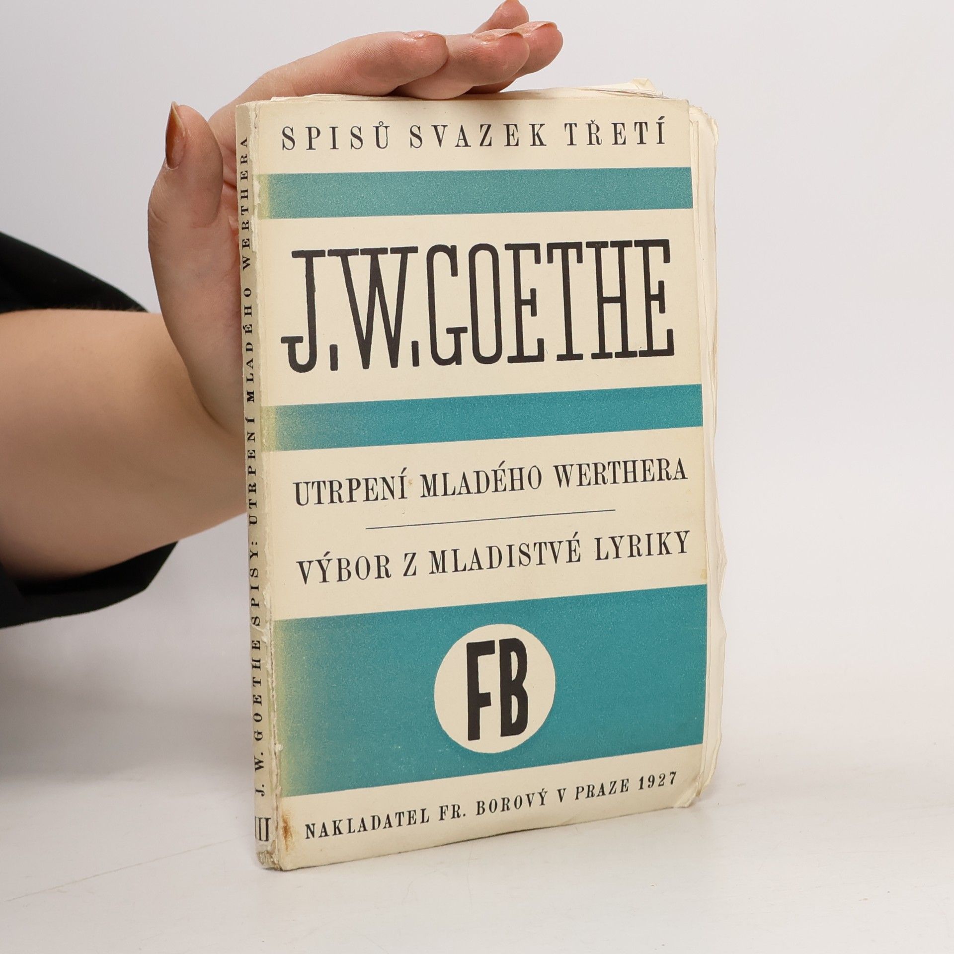 J. W. Goethe Utrpení mladého Werthera