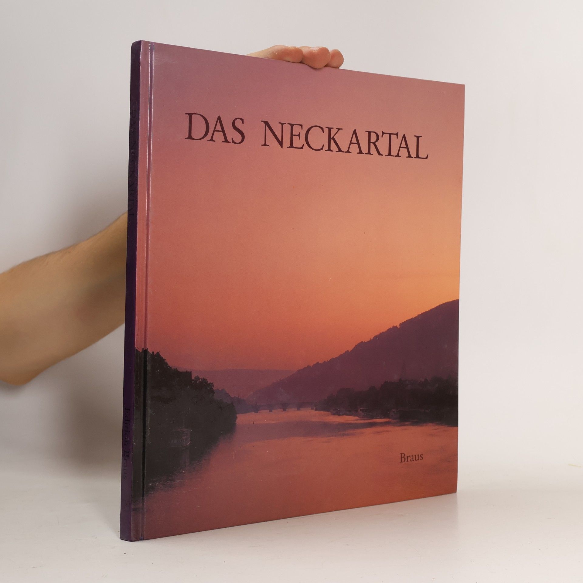 Das Neckartal