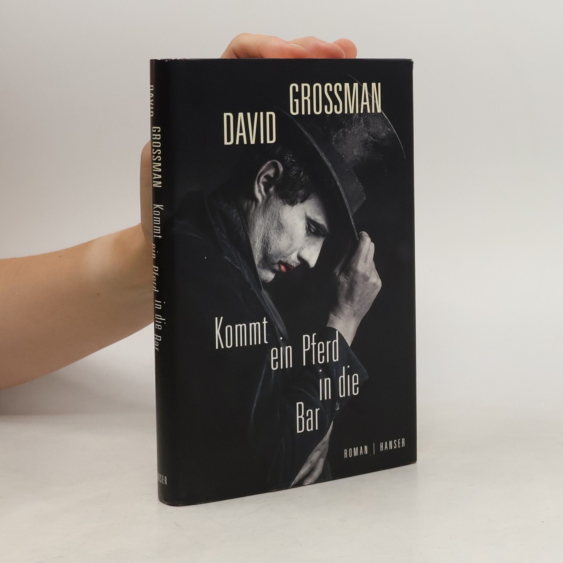 David Grossman Kommt ein Pferd in die Bar