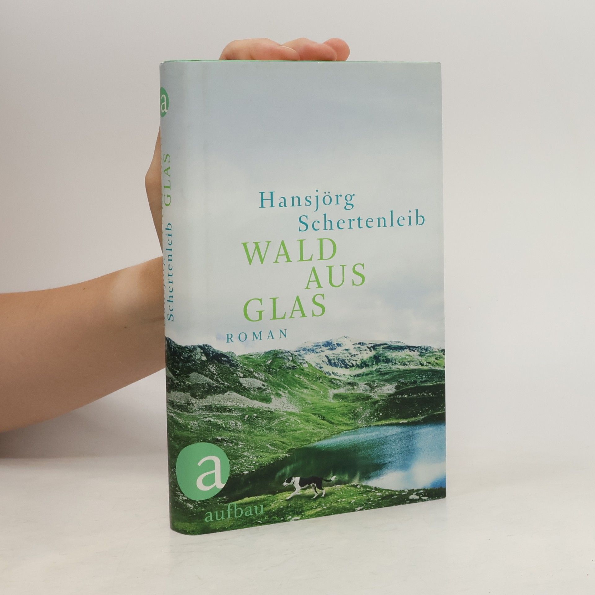 Hansjörg Schertenleib Wald aus Glas