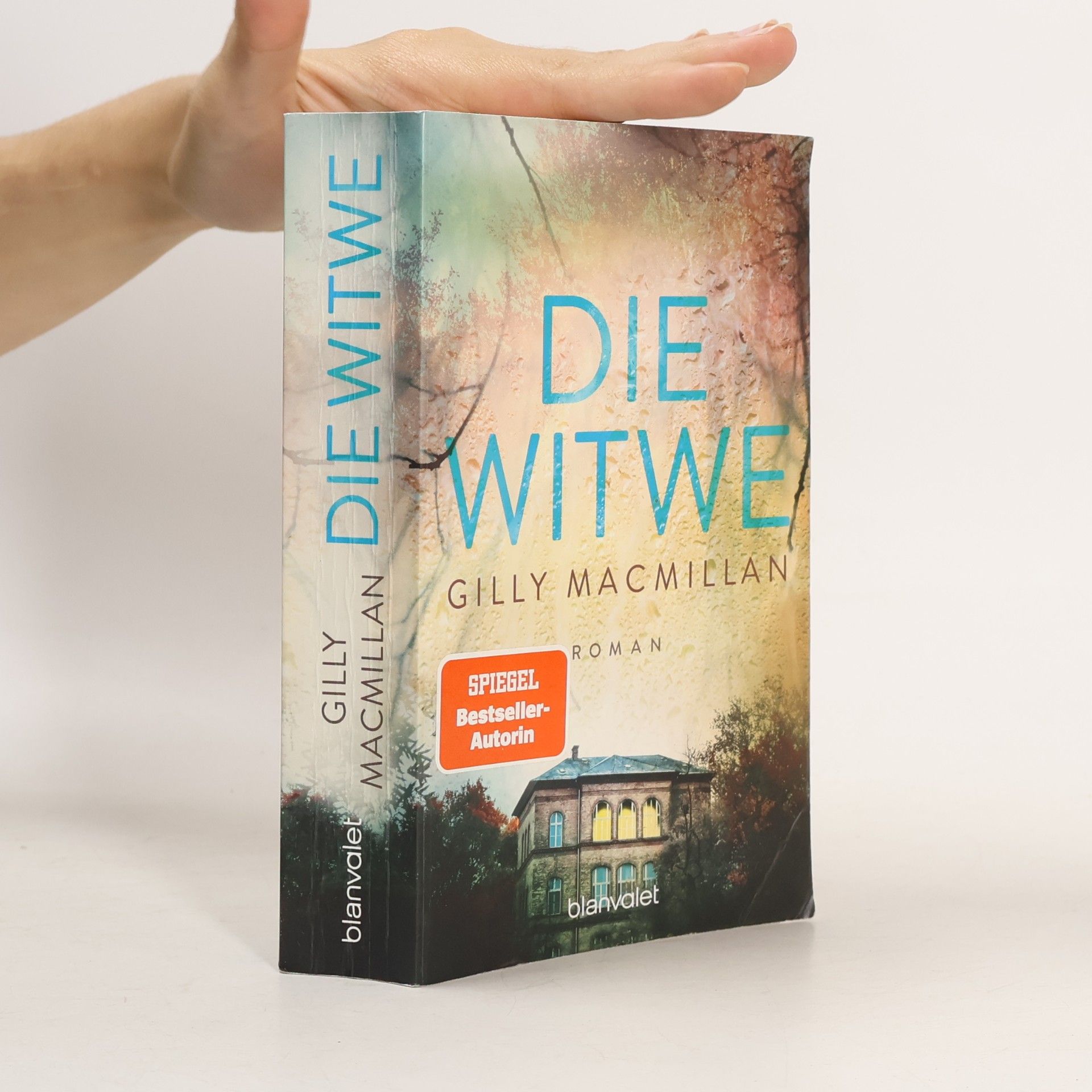 Gilly Macmillan Die Witwe