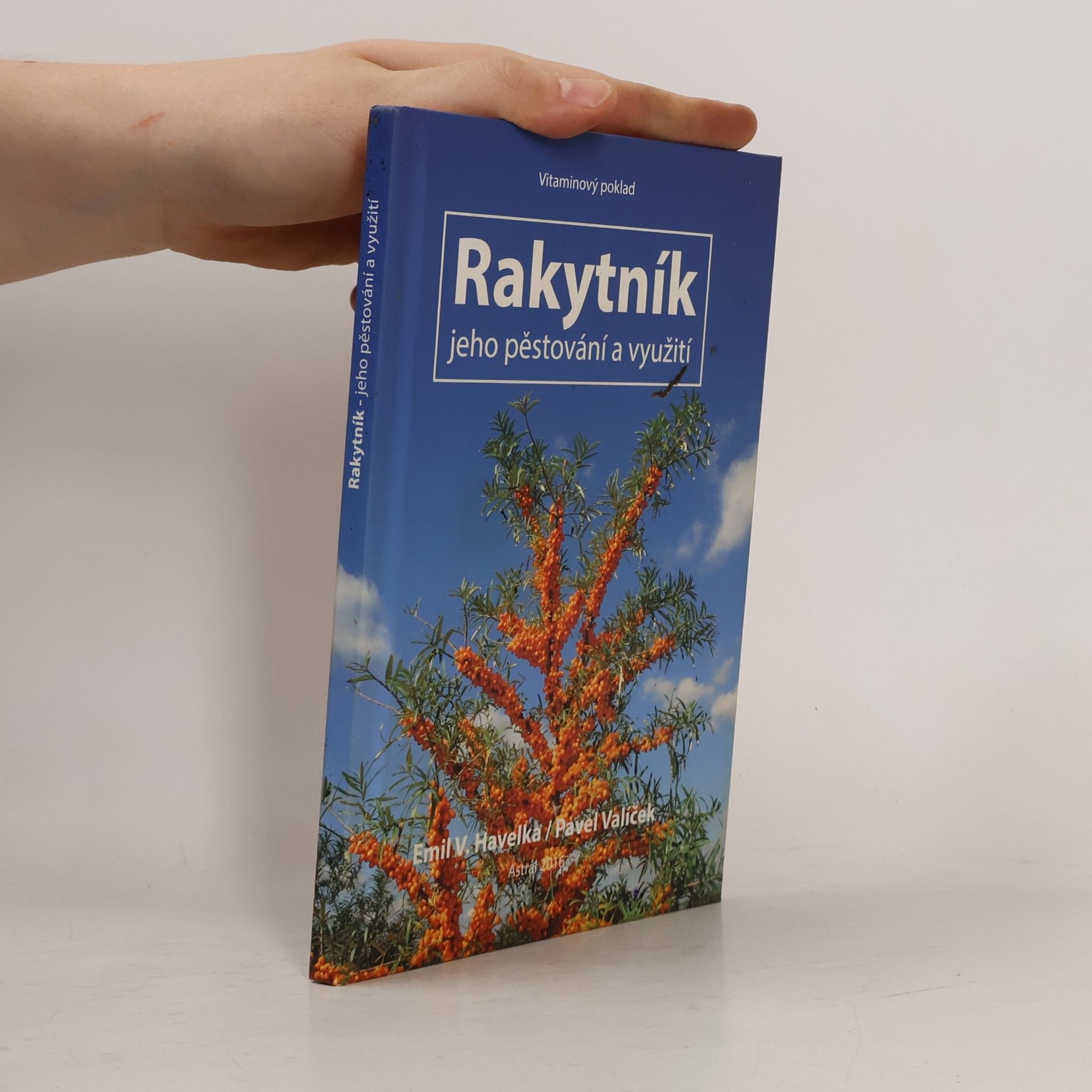 Pavel Valíček Rakytník.Jeho pěstování a využití