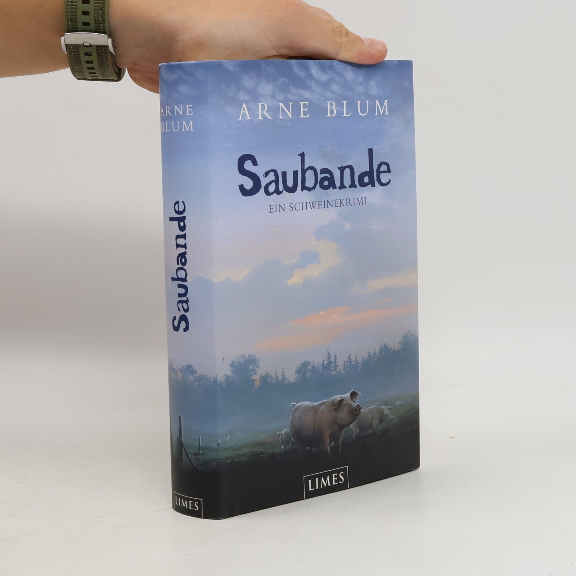 Saubande
