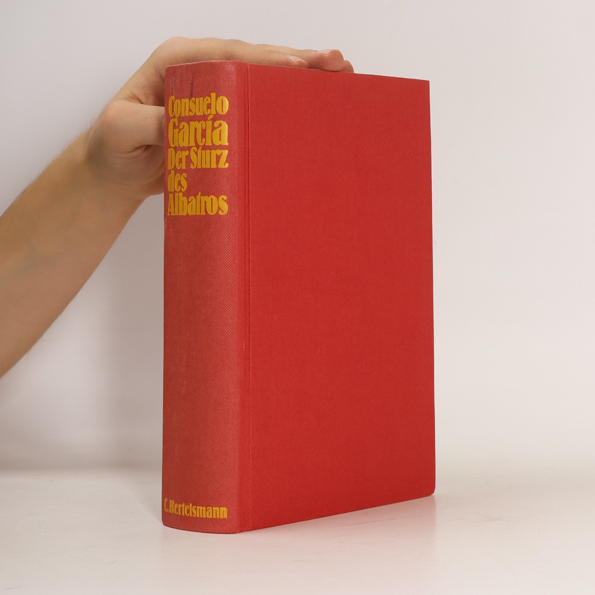 Consuelo García Der Sturz des Albatros