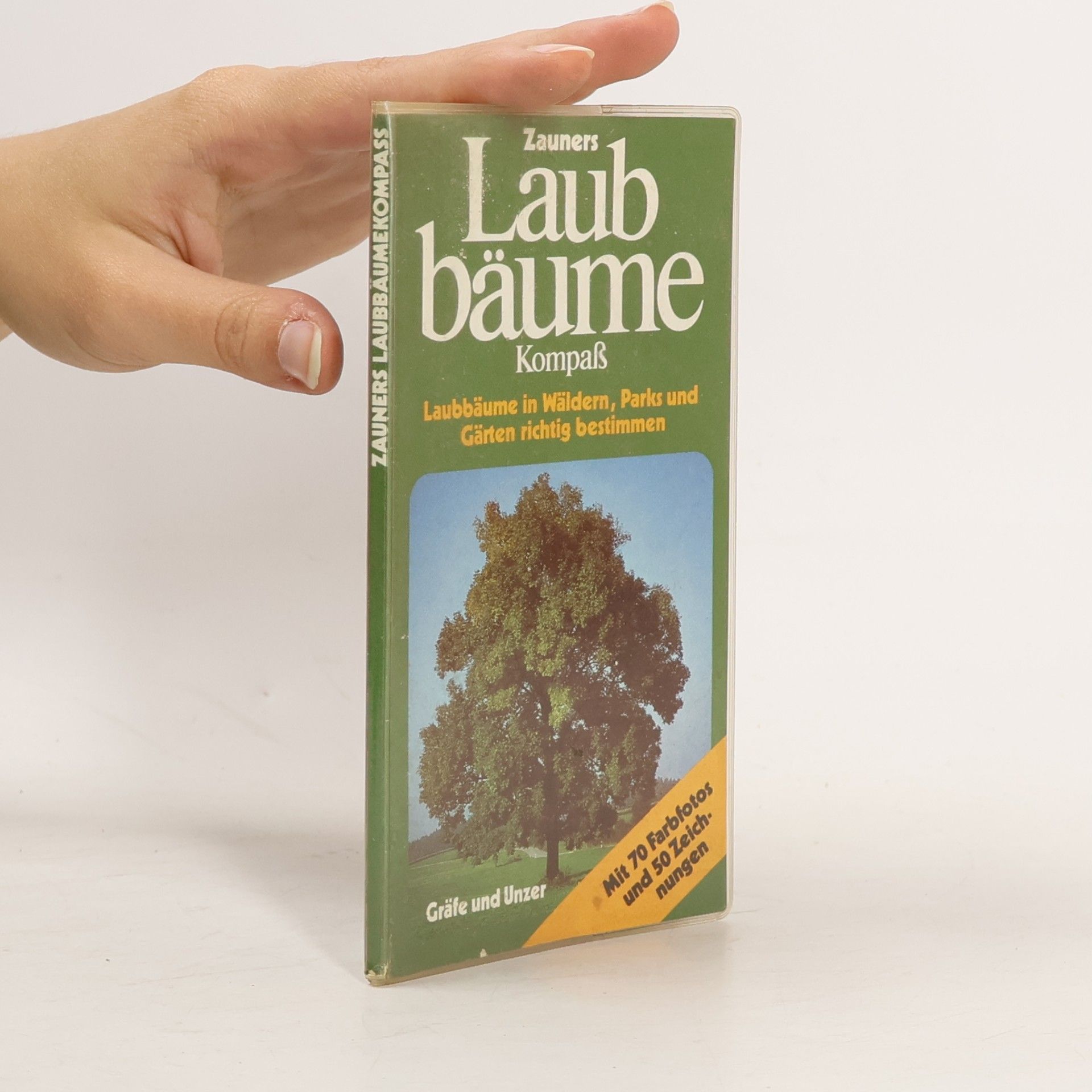 Laubbäumekompaß