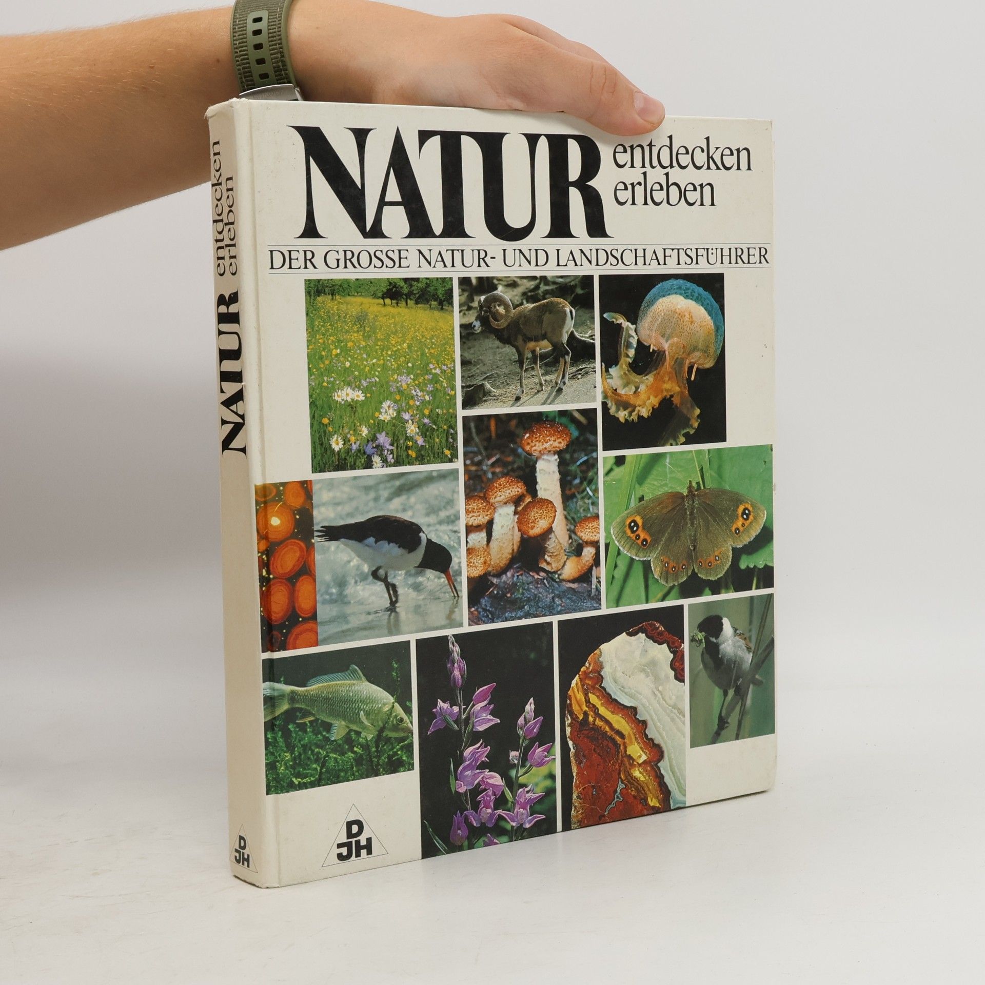 Autorenkollektiv Natur entdecken erleben