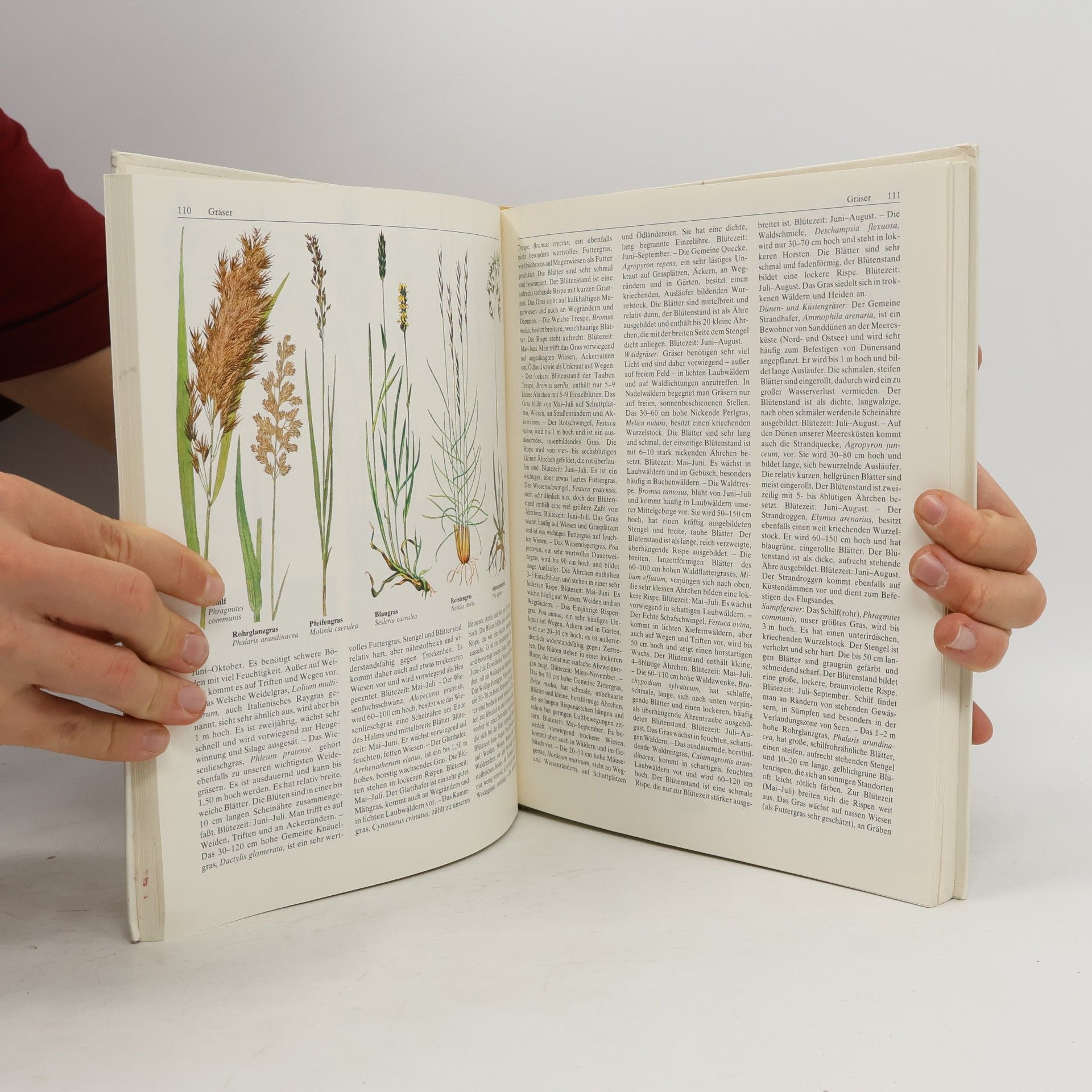 Autorenkollektiv Natur entdecken erleben