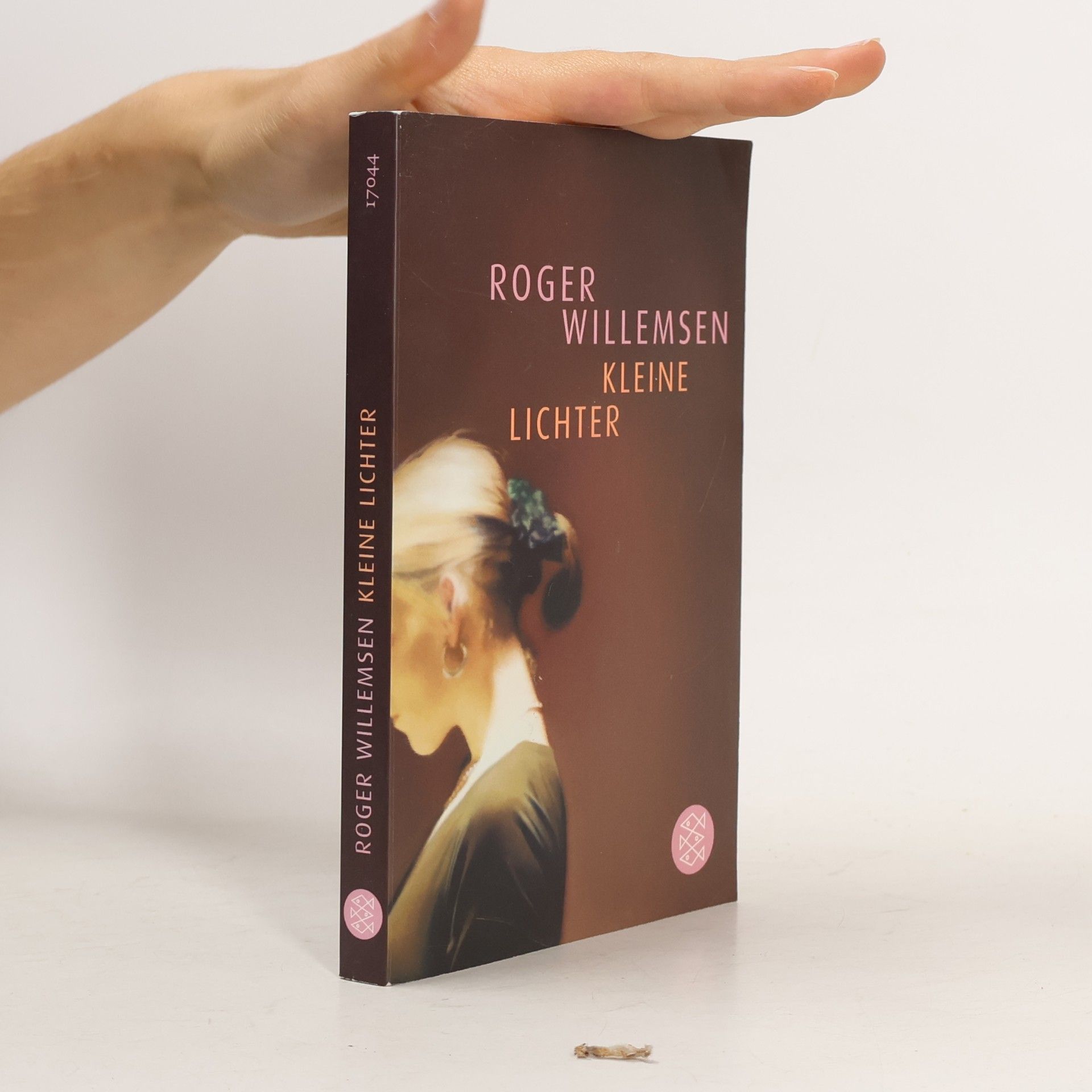 Roger Willemsen Kleine Lichter