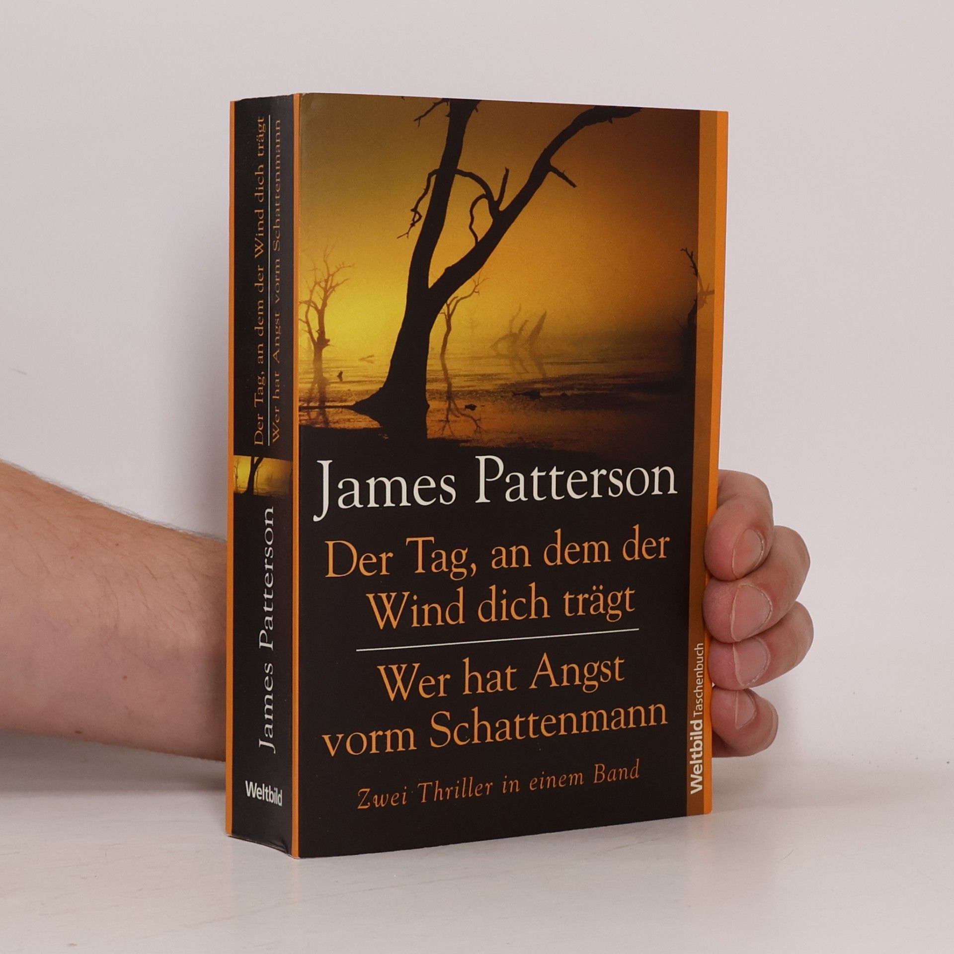 James Patterson Der Tag, an dem der Wind dich trägt