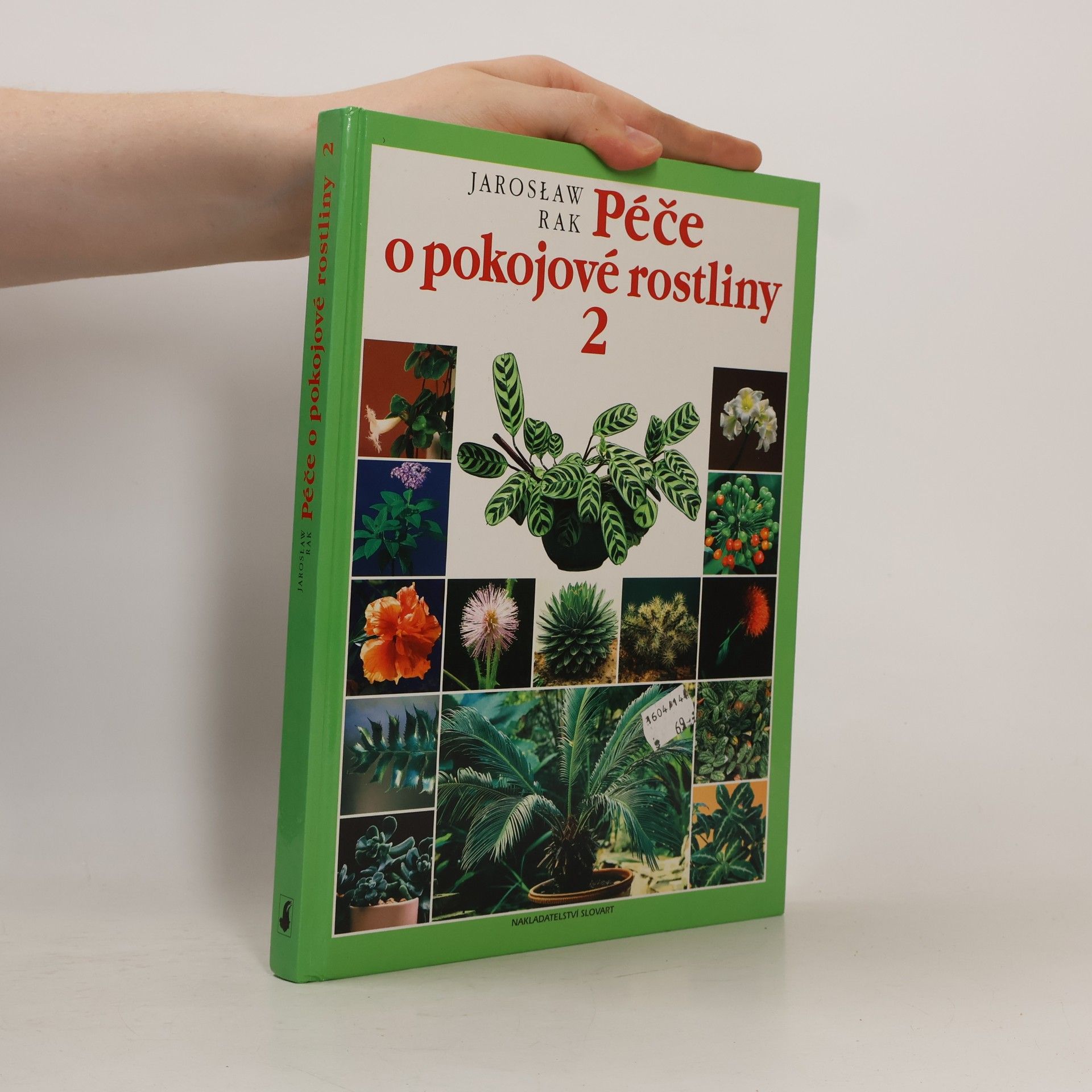 Péče o pokojové rostliny 2