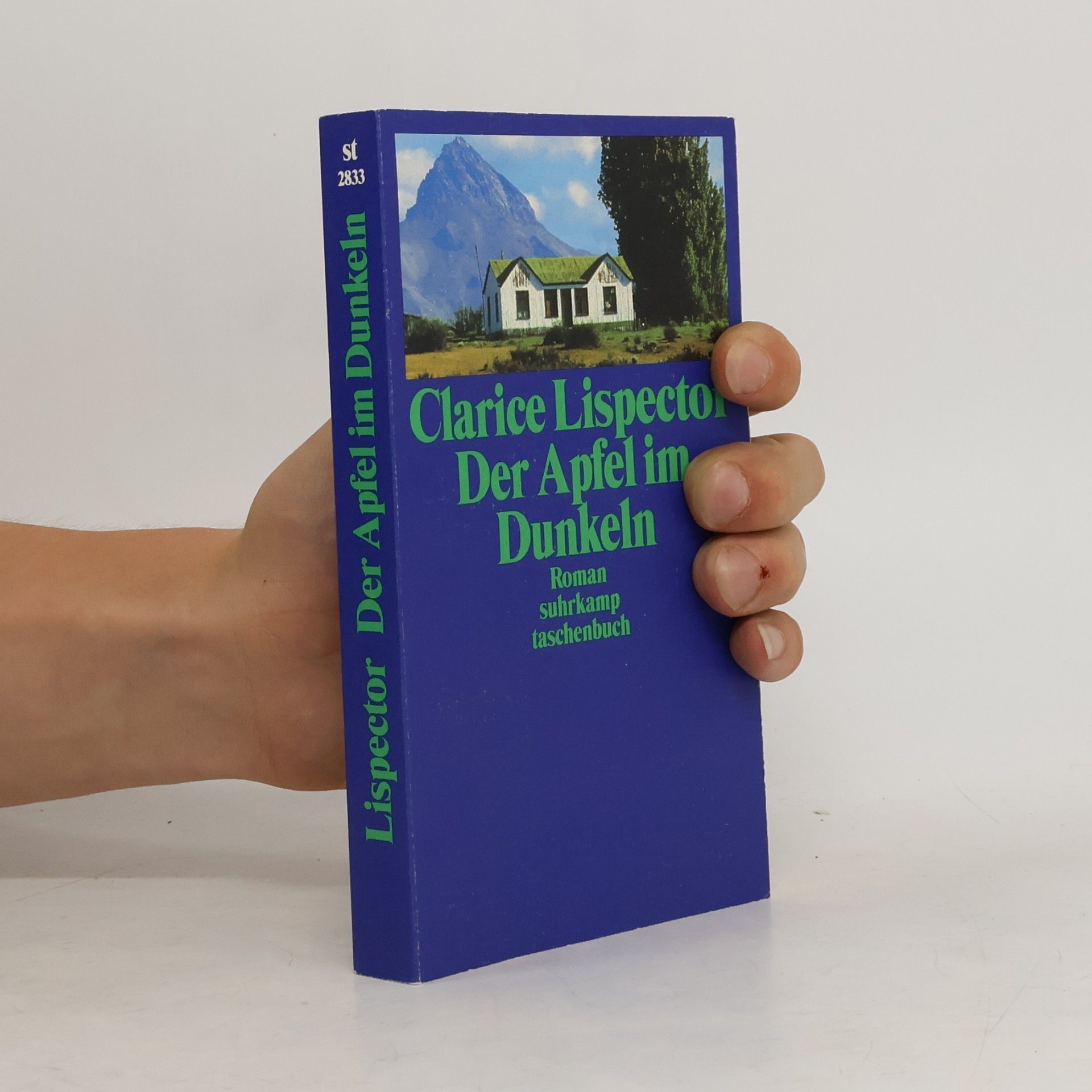 Clarice Lispector Der Apfel im Dunkeln. Roman