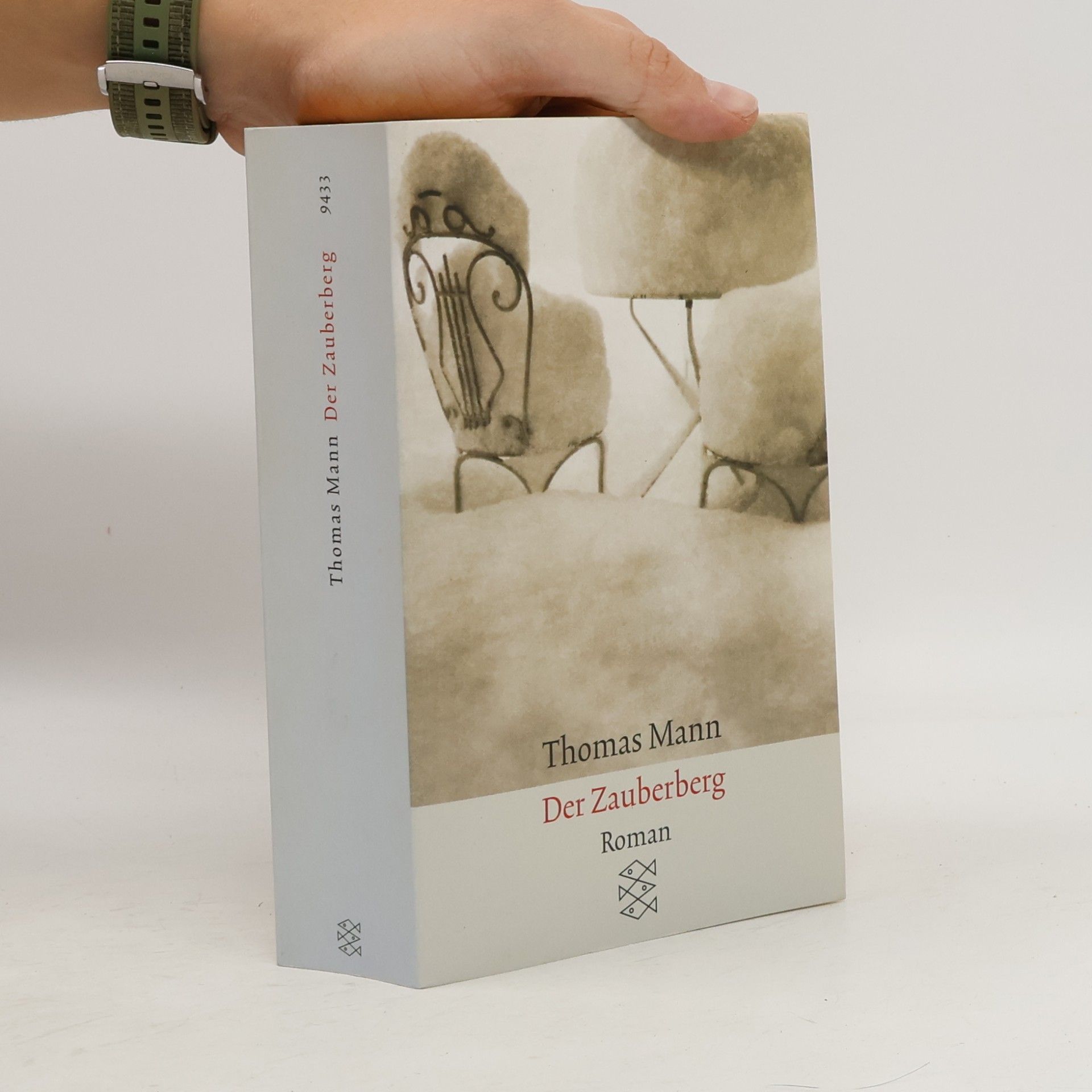 Thomas Mann Der Zauberberg