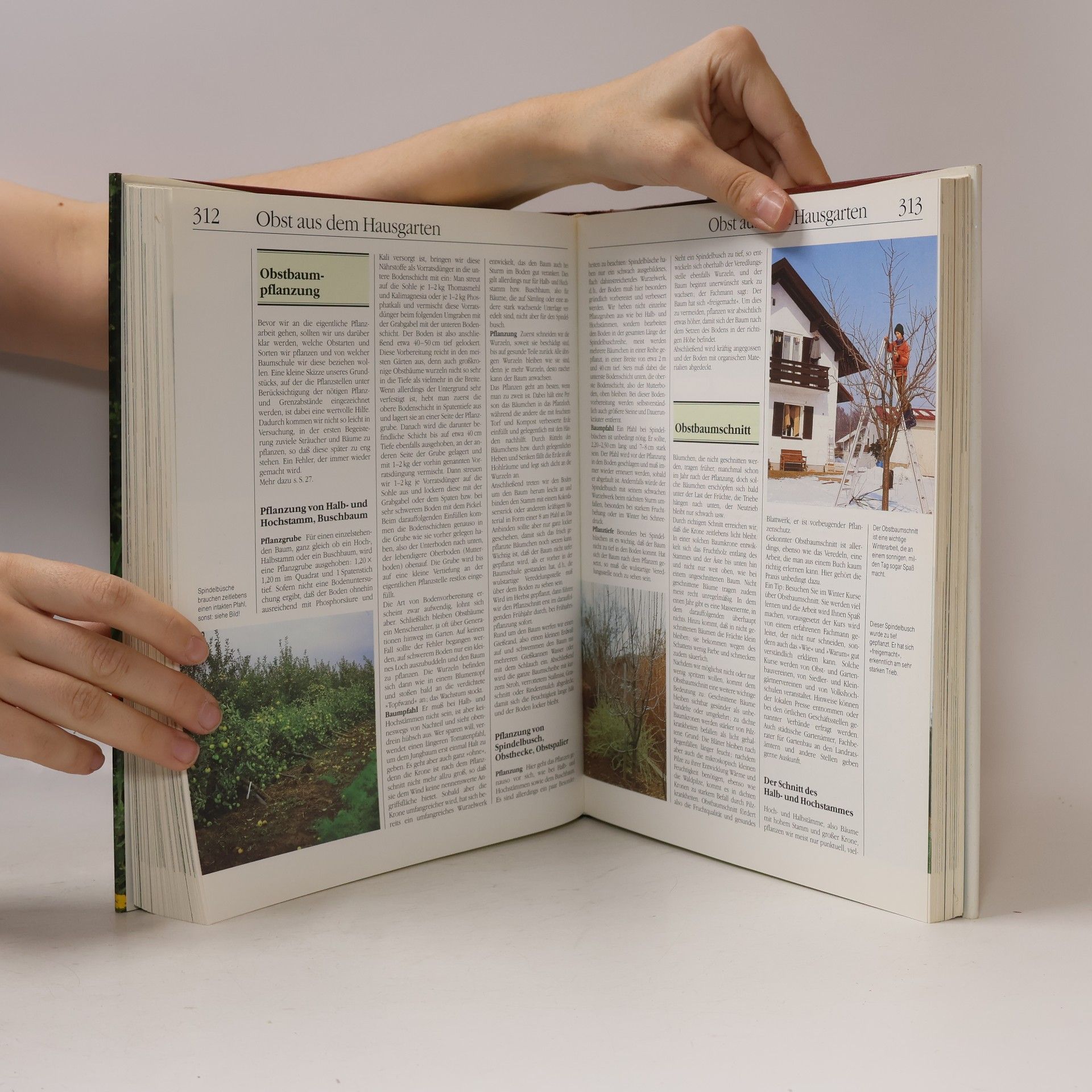 Rainer Berling Handbuch Garten