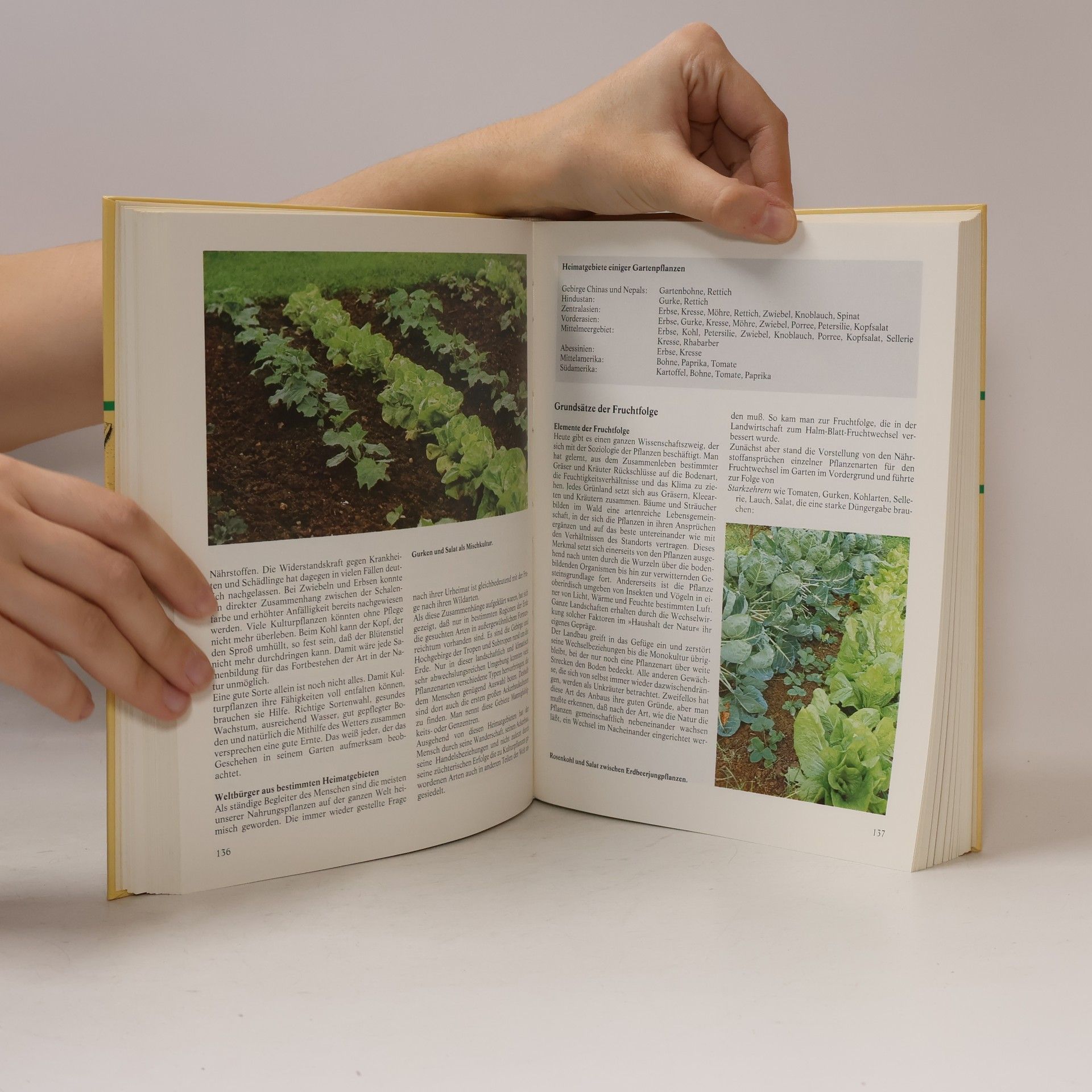 Krafft von Heynitz Das biologische Gartenbuch