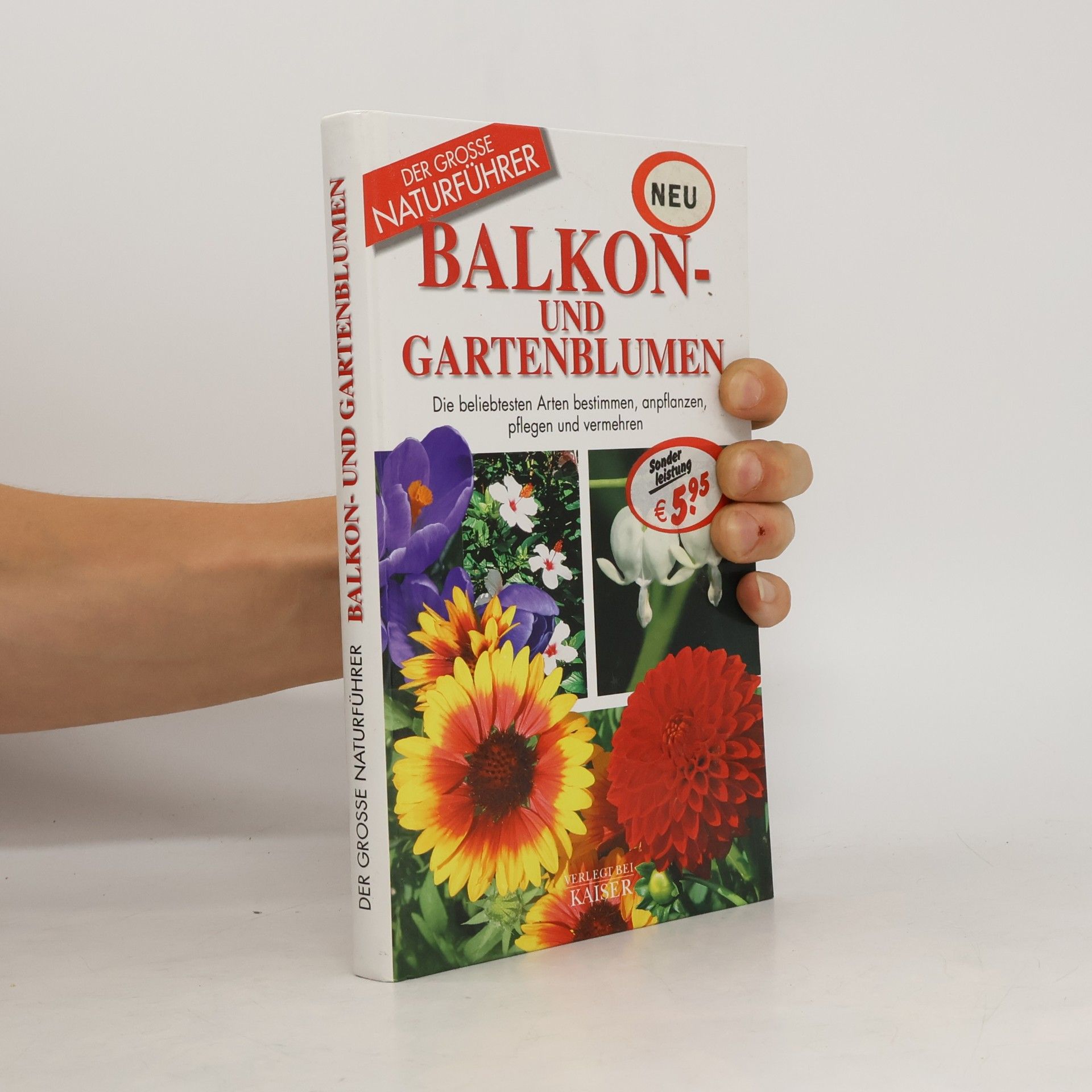 Maria Teresa Della Beffa Balkon- und Gartenblumen