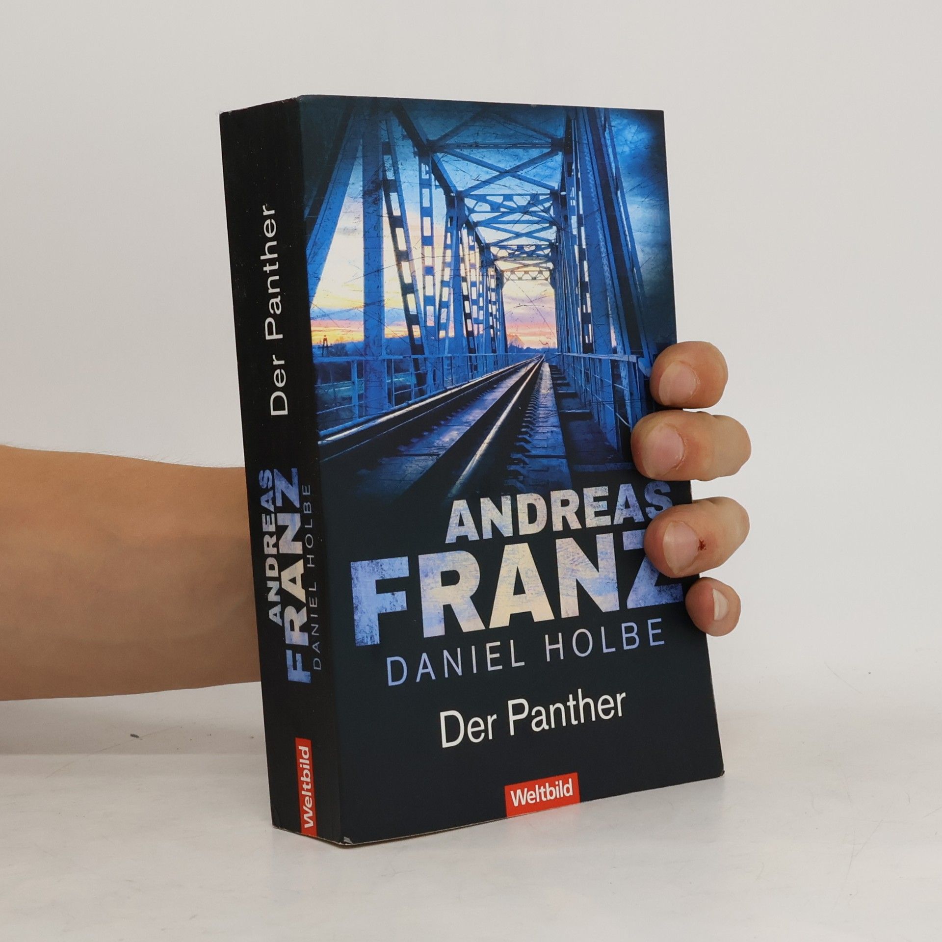 Der Panther
