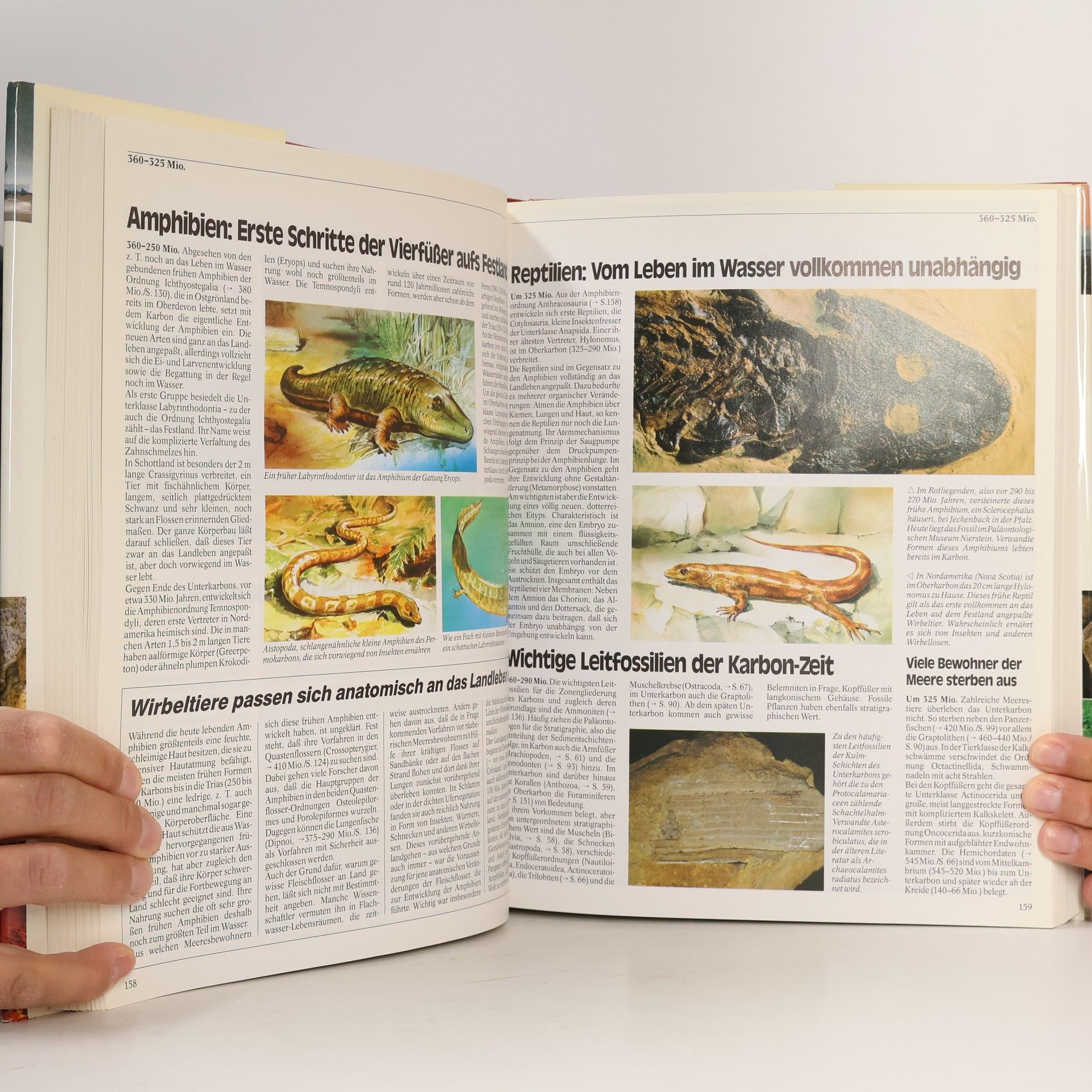 Autorenkollektiv Die Chronik der Erde