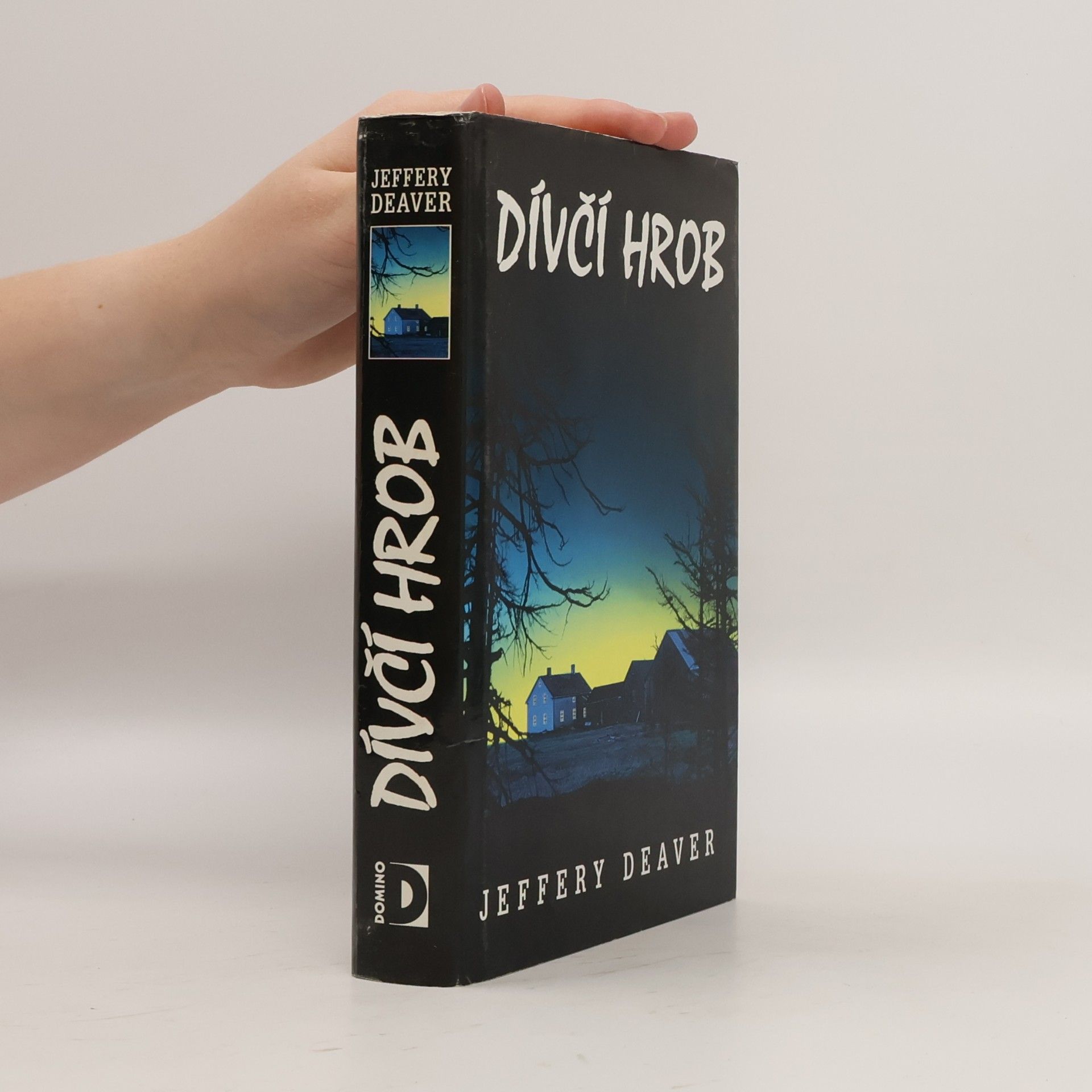 Jeffery Deaver Dívčí hrob