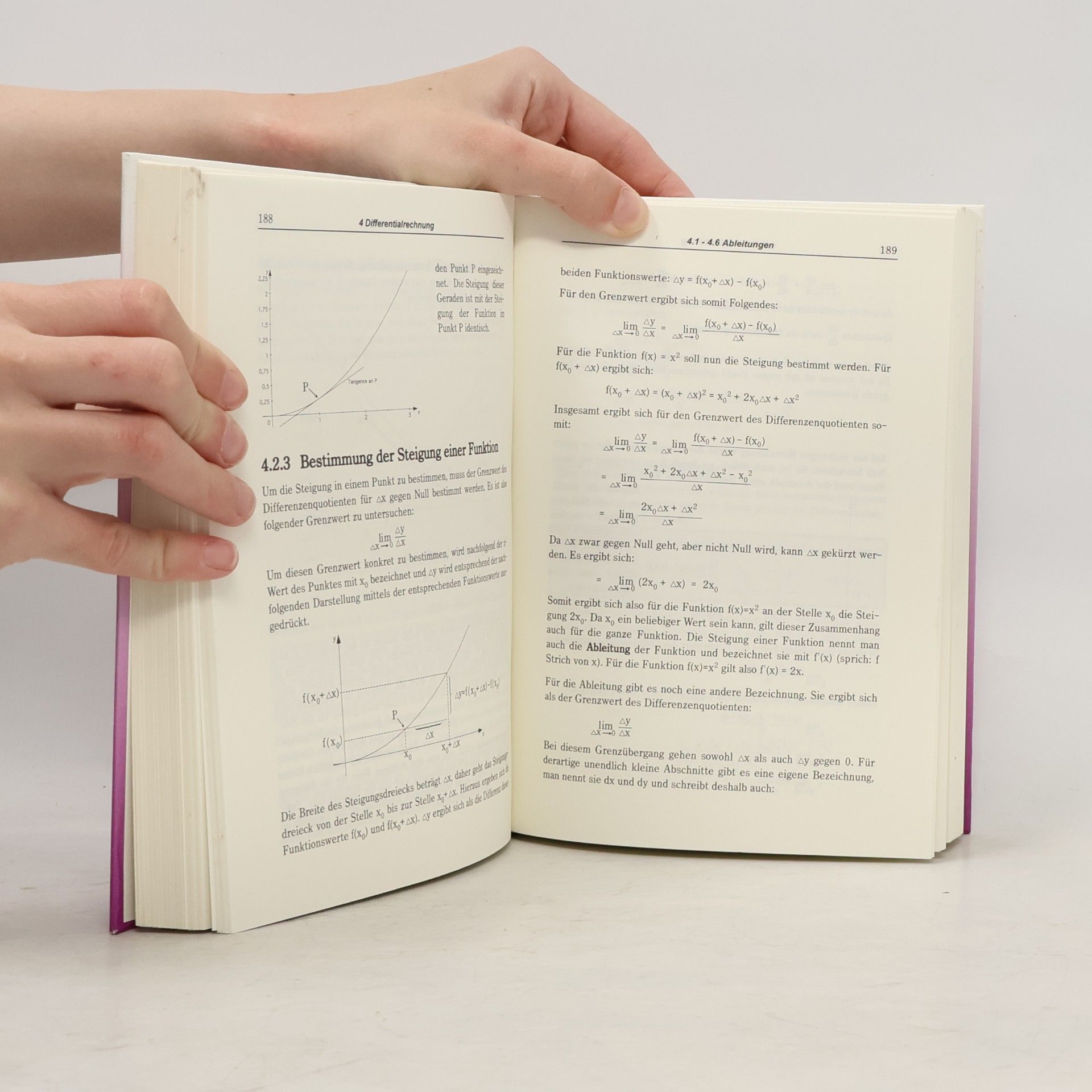 Peter Dörsam Mathematik anschaulich dargestellt - für Studierende der Wirtschaftswissenschaften