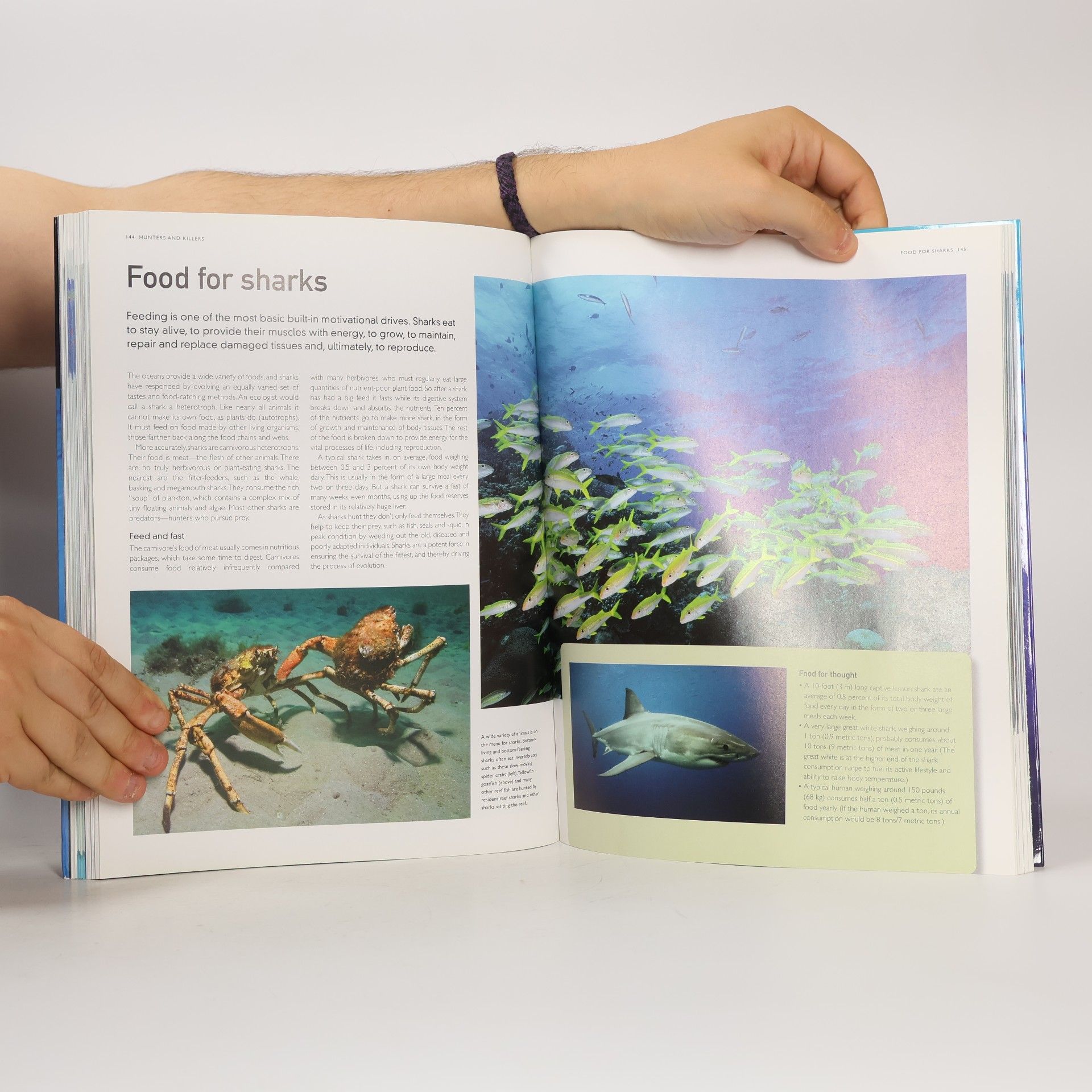 Steve Parker The Encyclopedia of Sharks: New Edition Completely Revised and Updated