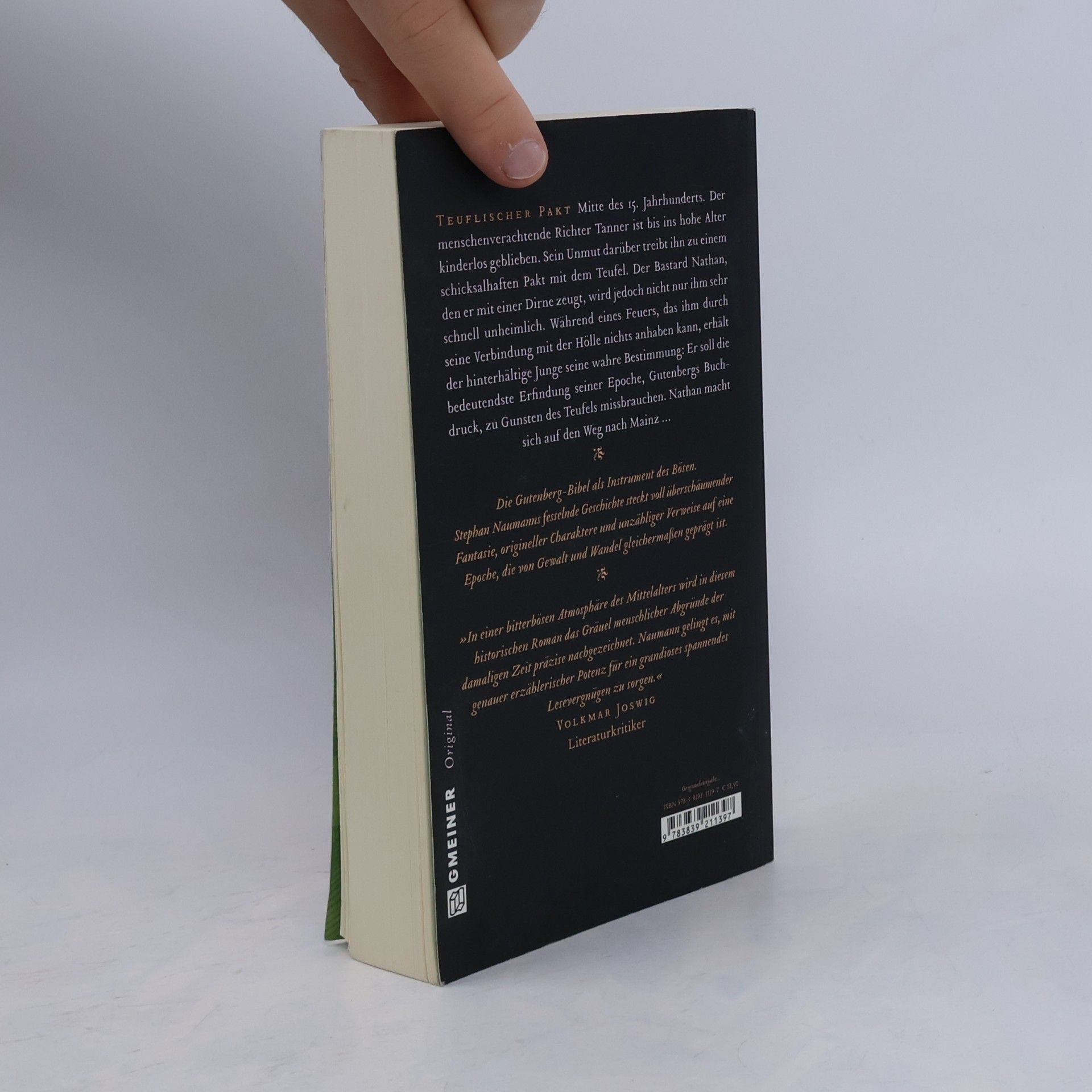 Stephan Naumann Das Werk der Bücher. Historischer Roman