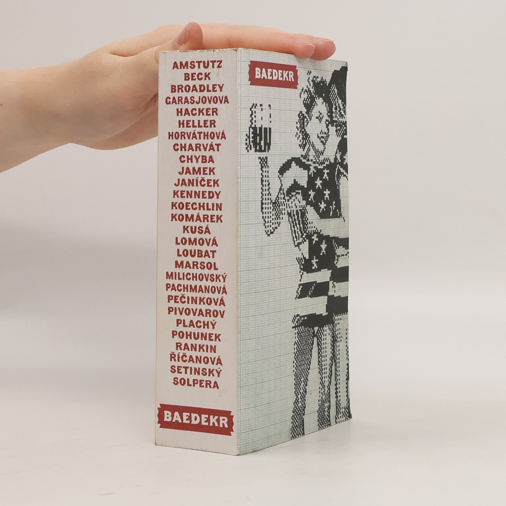 Kolektiv autorů Baedekr Tabook No. 8