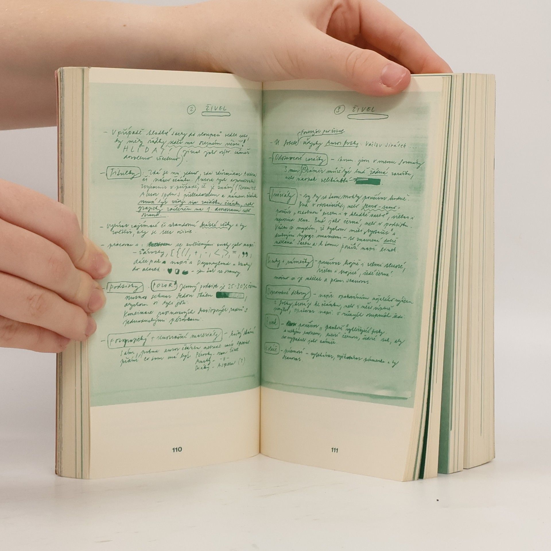 Kolektiv autorů Baedekr Tabook No. 8