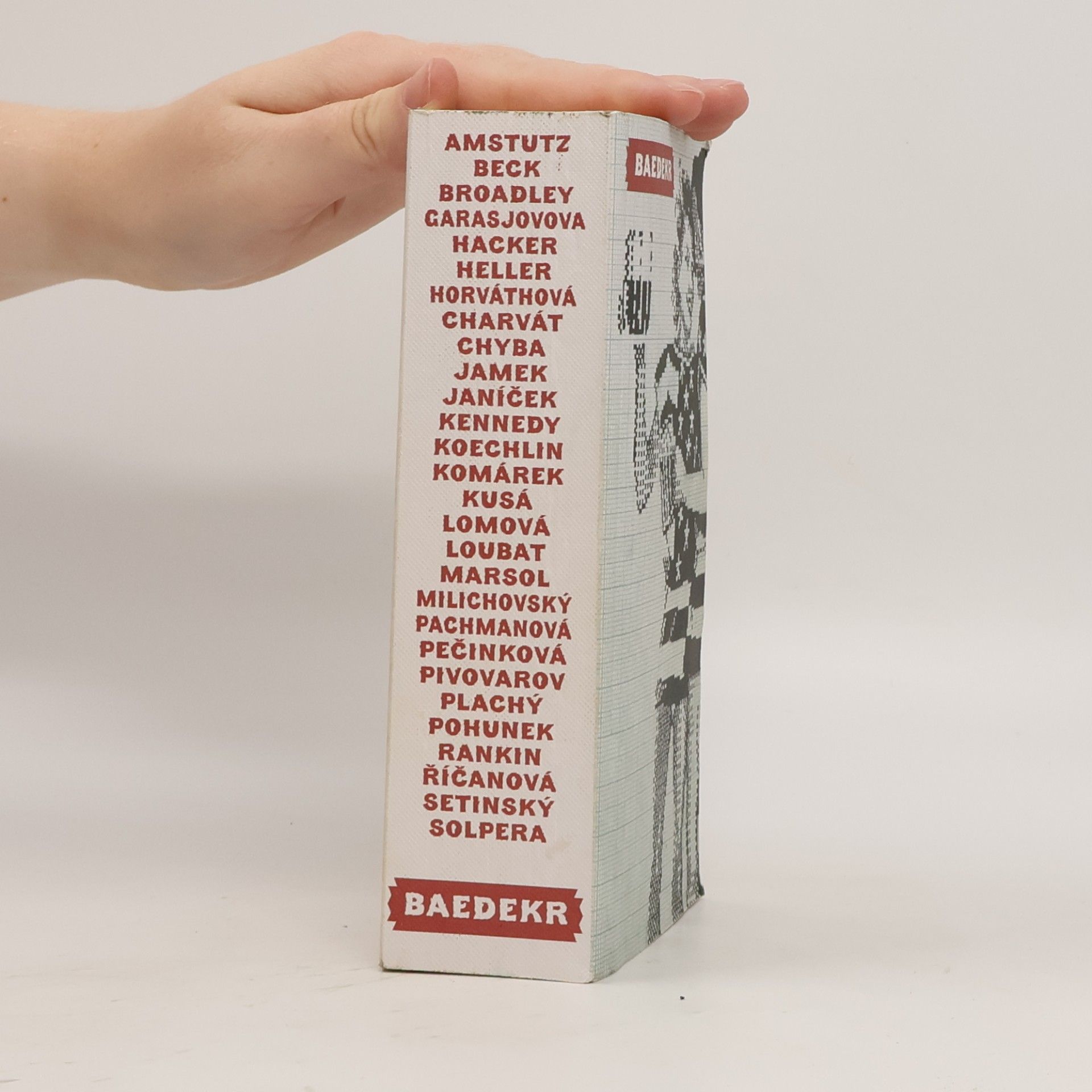 Kolektiv autorů Baedekr Tabook No. 8