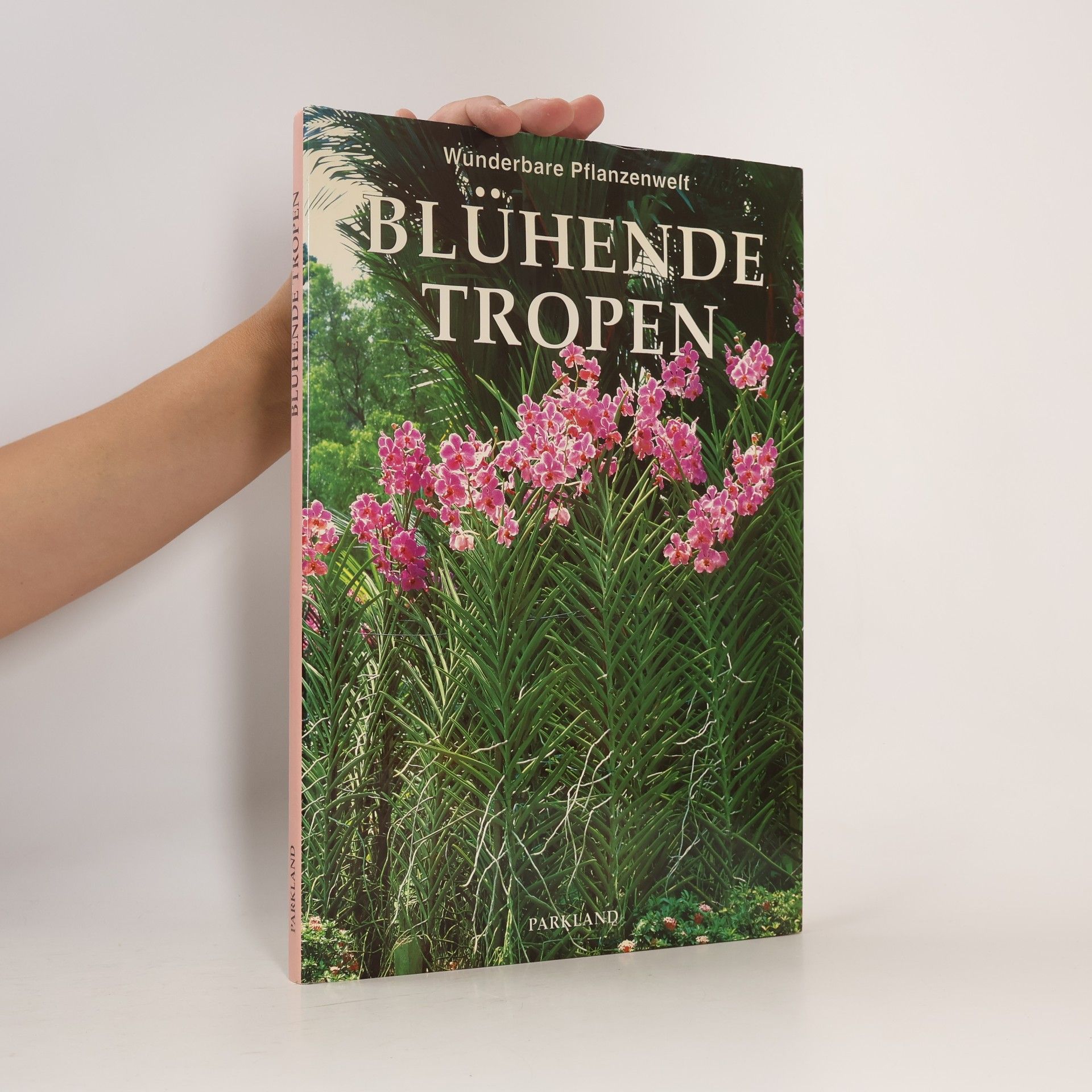 Nicky den Hartogh Blühende Tropen
