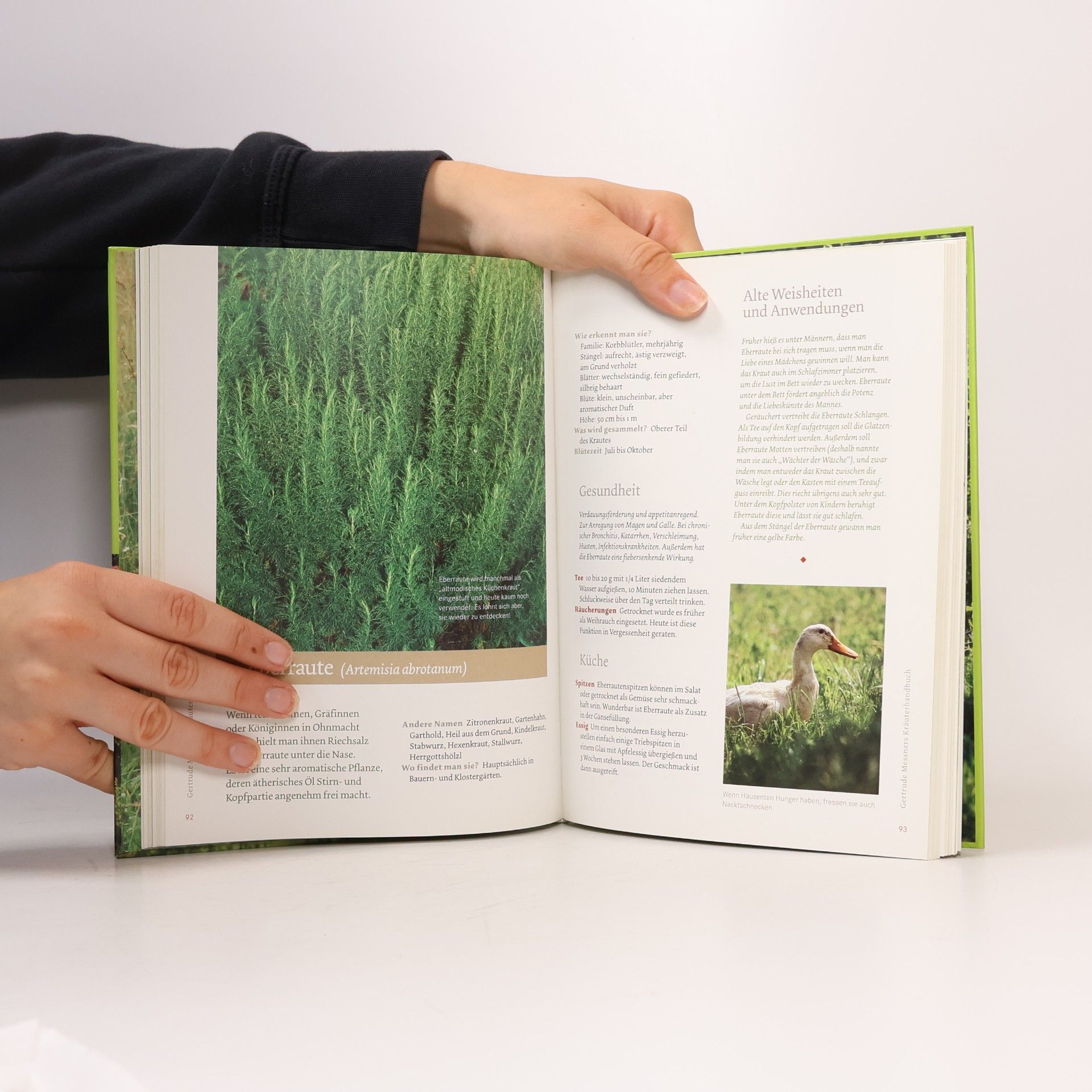 Gertrude Messner Gertrude Messners Kräuterhandbuch