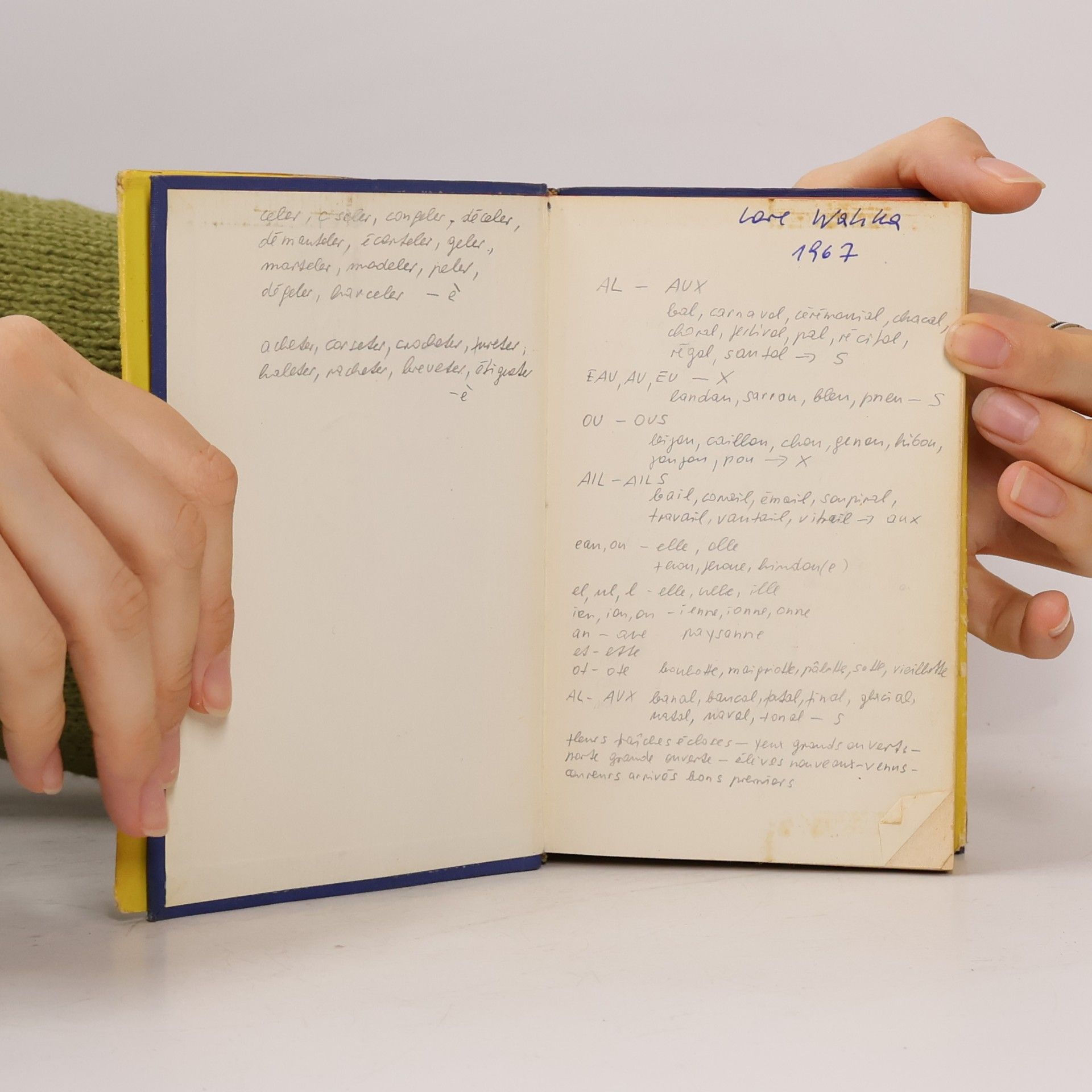 Autorenkollektiv Langenscheidts Taschenwörterbuch II