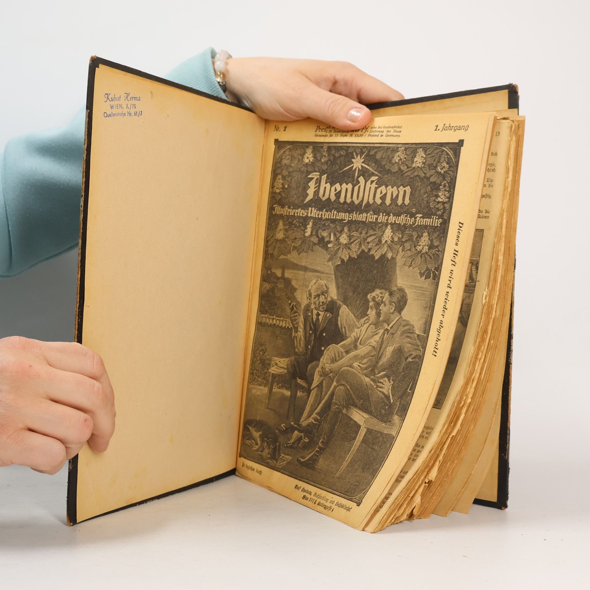 kolektiv Abendstern: Illustriertes Unterhaltungsblatt für die deutsche Familie