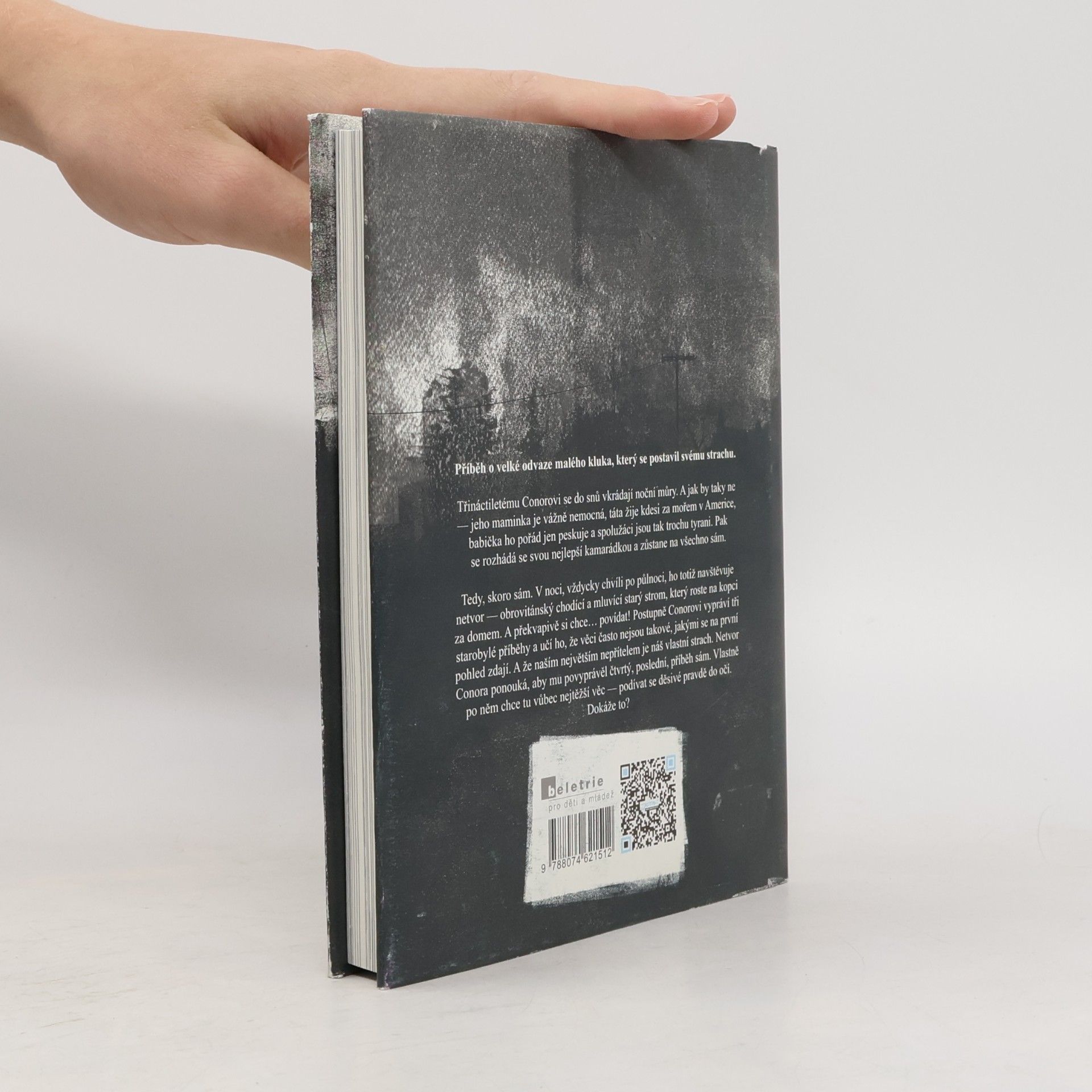 Patrick Ness Volání netvora