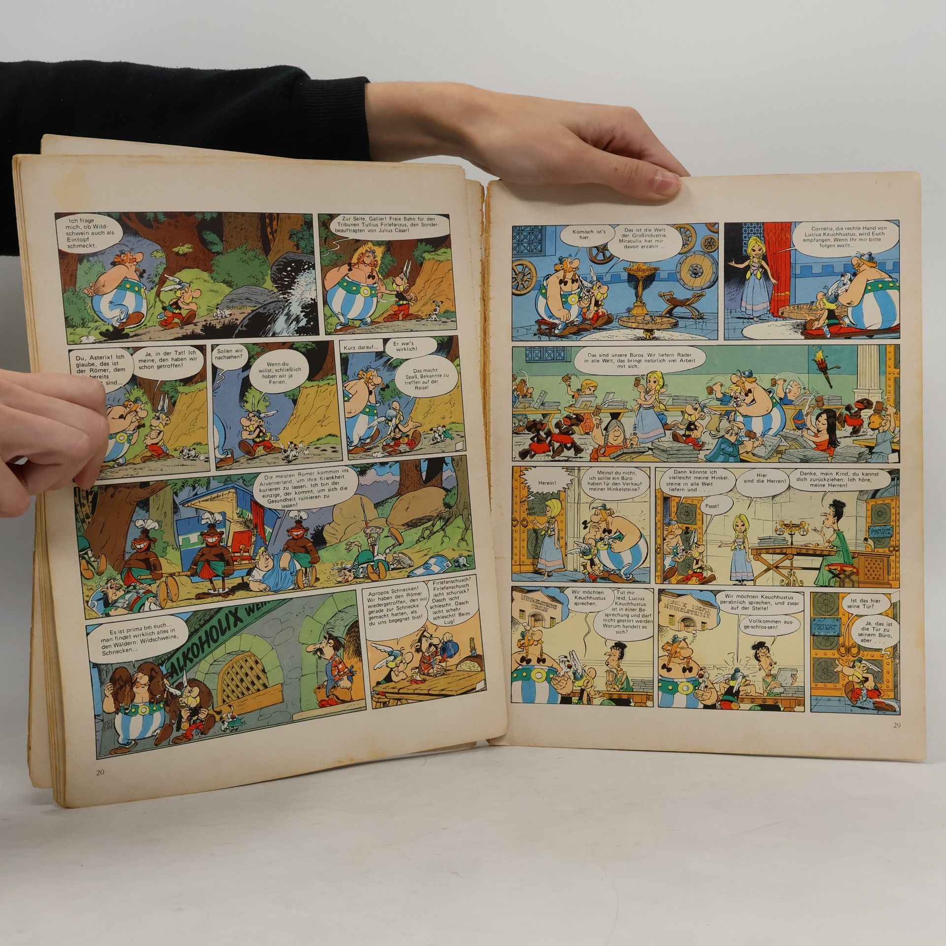 Autorenkollektiv Asterix und der Arvernerschild. Band XI