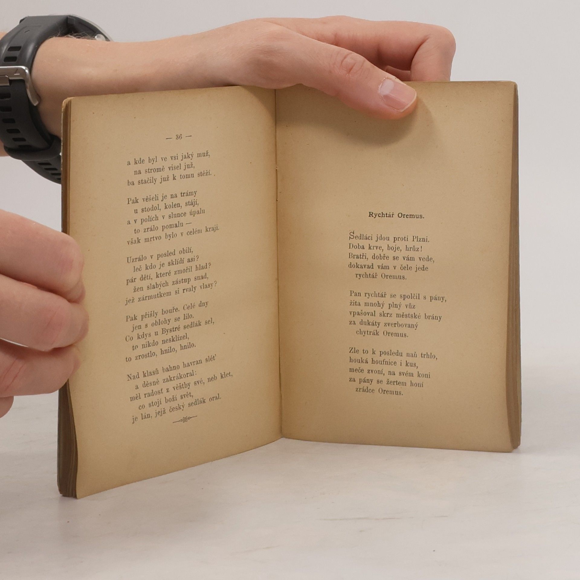 Jaroslav Vrchlický Poetické besedy XXII. Selské ballady