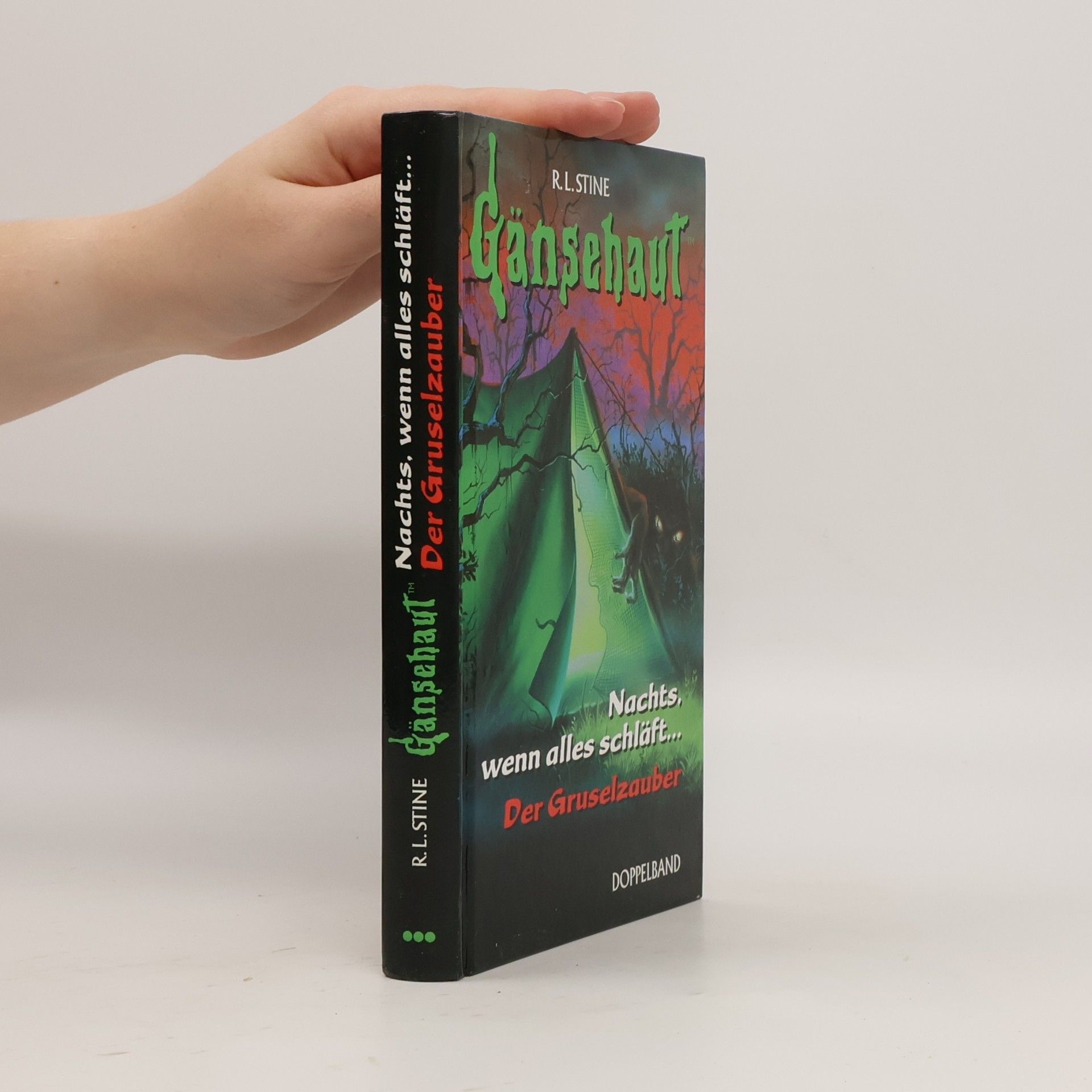 R. L. Stine Gänsehaut. Nachts, wenn alles schläft. Der Gruselzauber