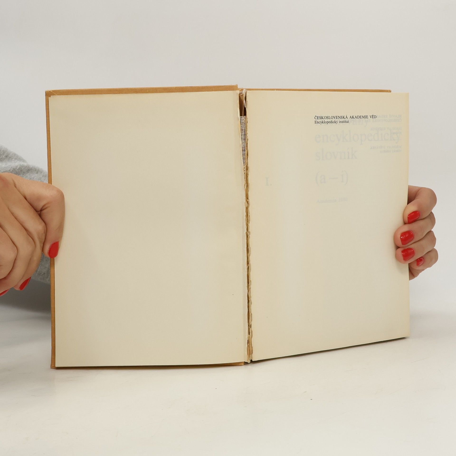 Various authors Ilustrovaný encyklopedický slovník I. - II. (dva svazky)