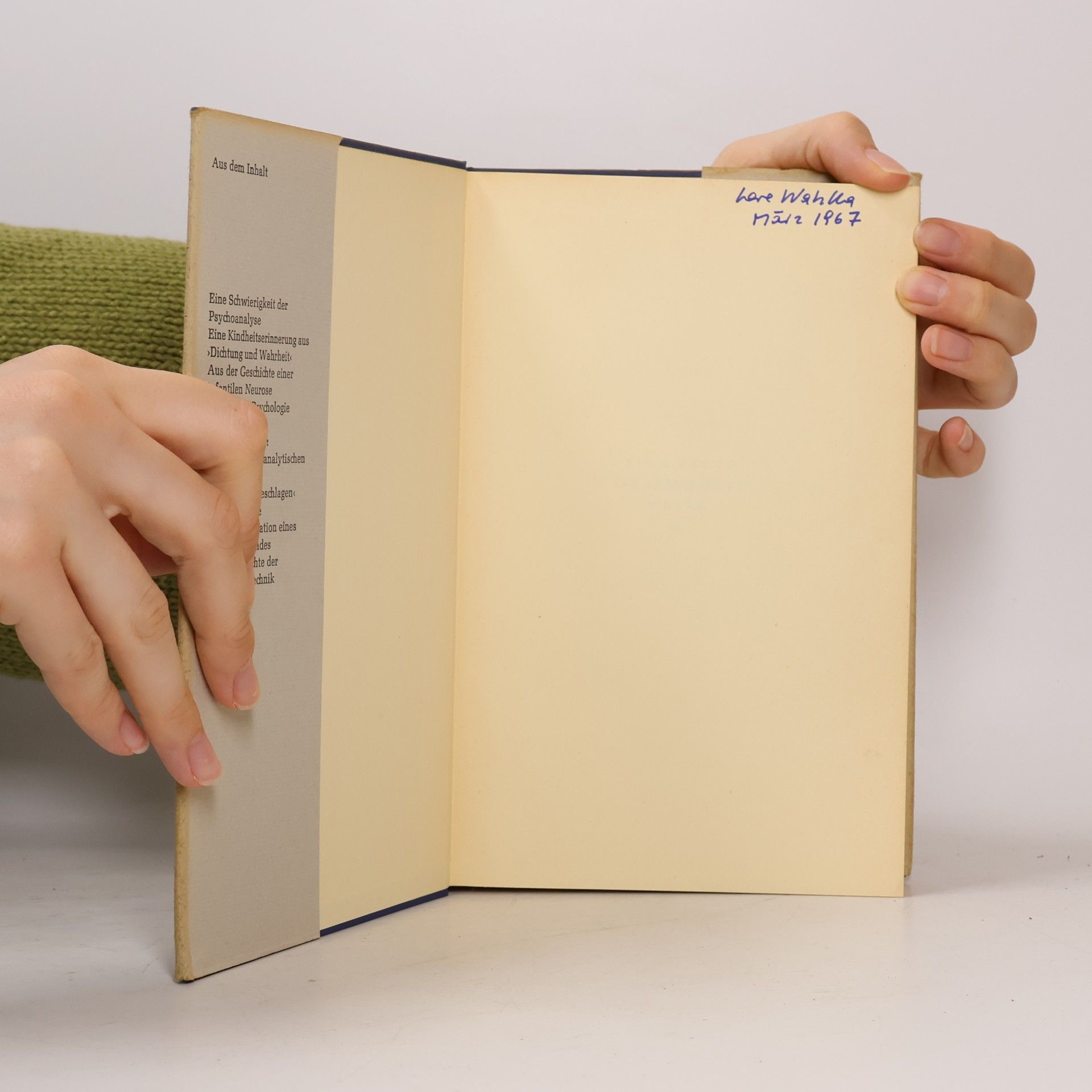 Sigmund Freud Gesammelte Werke. Werke aus den Jahren 1917-1920