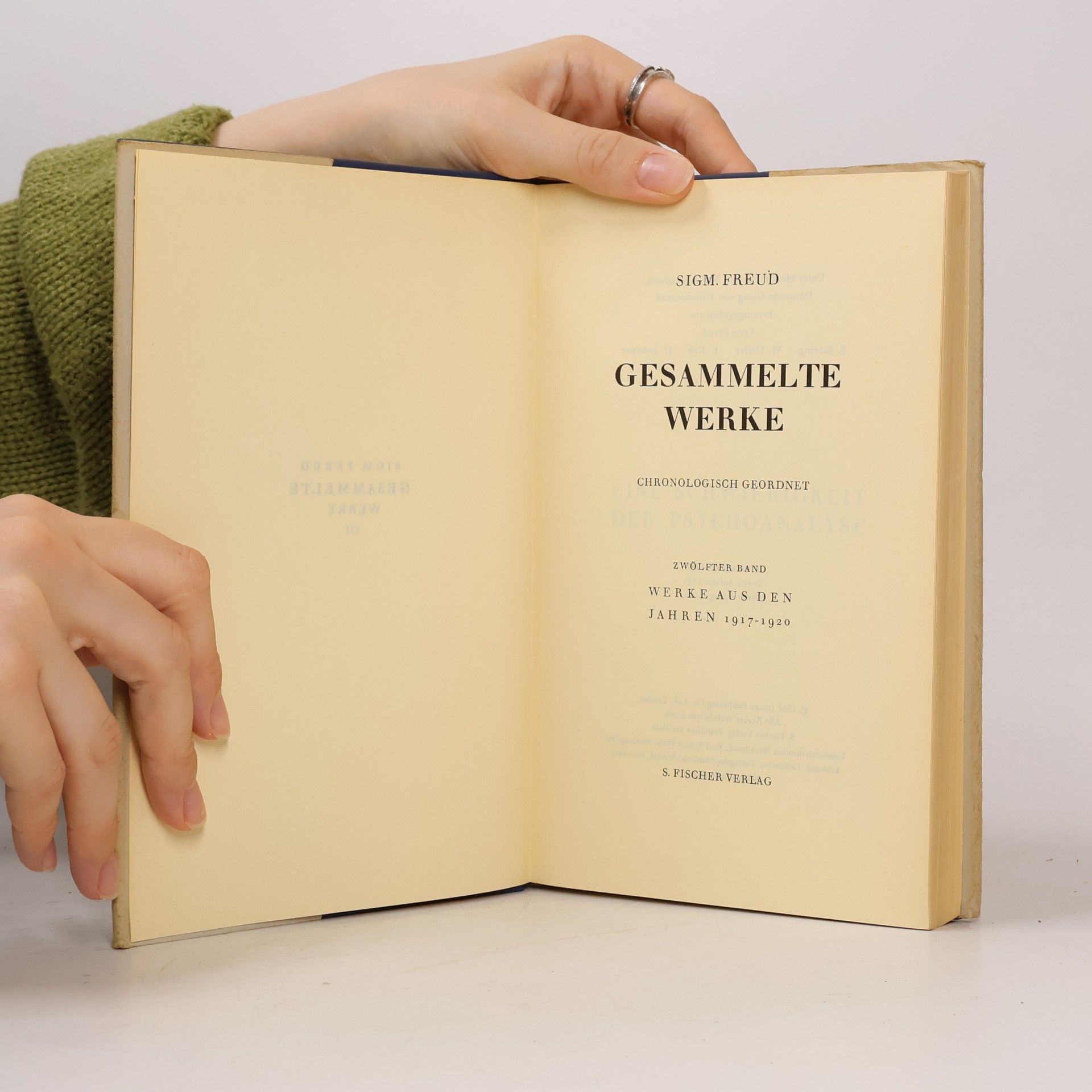 Sigmund Freud Gesammelte Werke. Werke aus den Jahren 1917-1920
