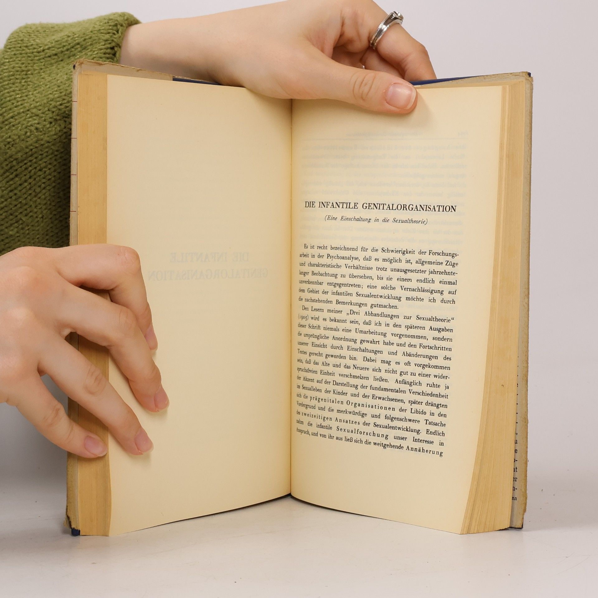 Sigmund Freud Gesammelte Werke XIII