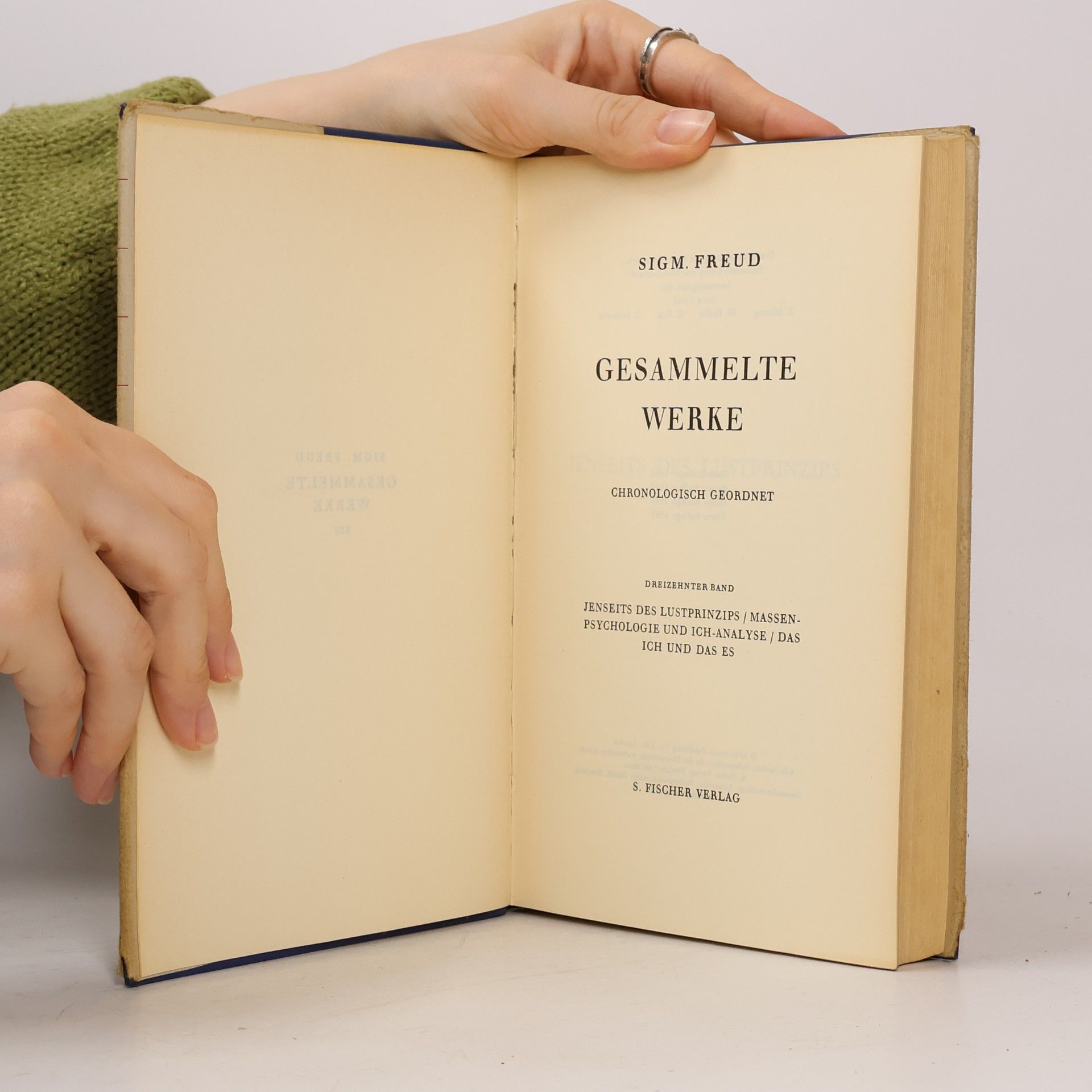 Sigmund Freud Gesammelte Werke XIII